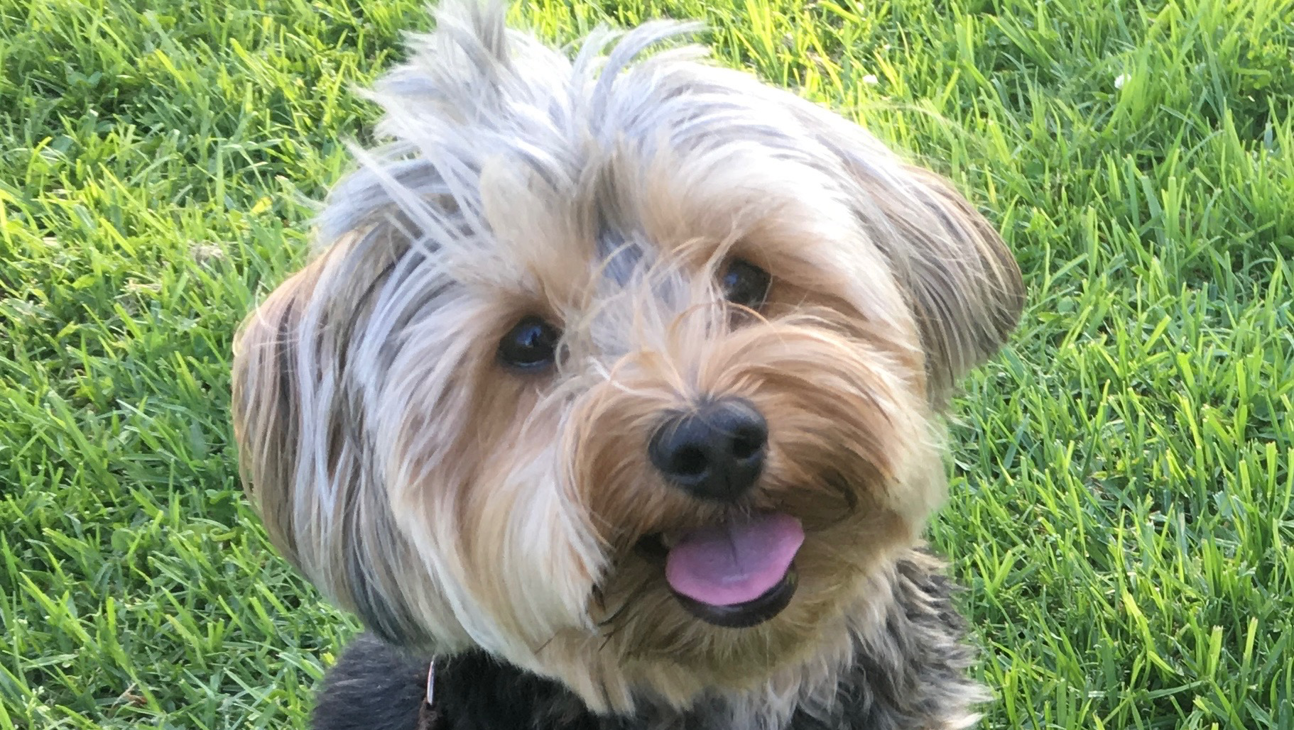 Help Baby Leo Fight Cancer and Continue Chemo photo