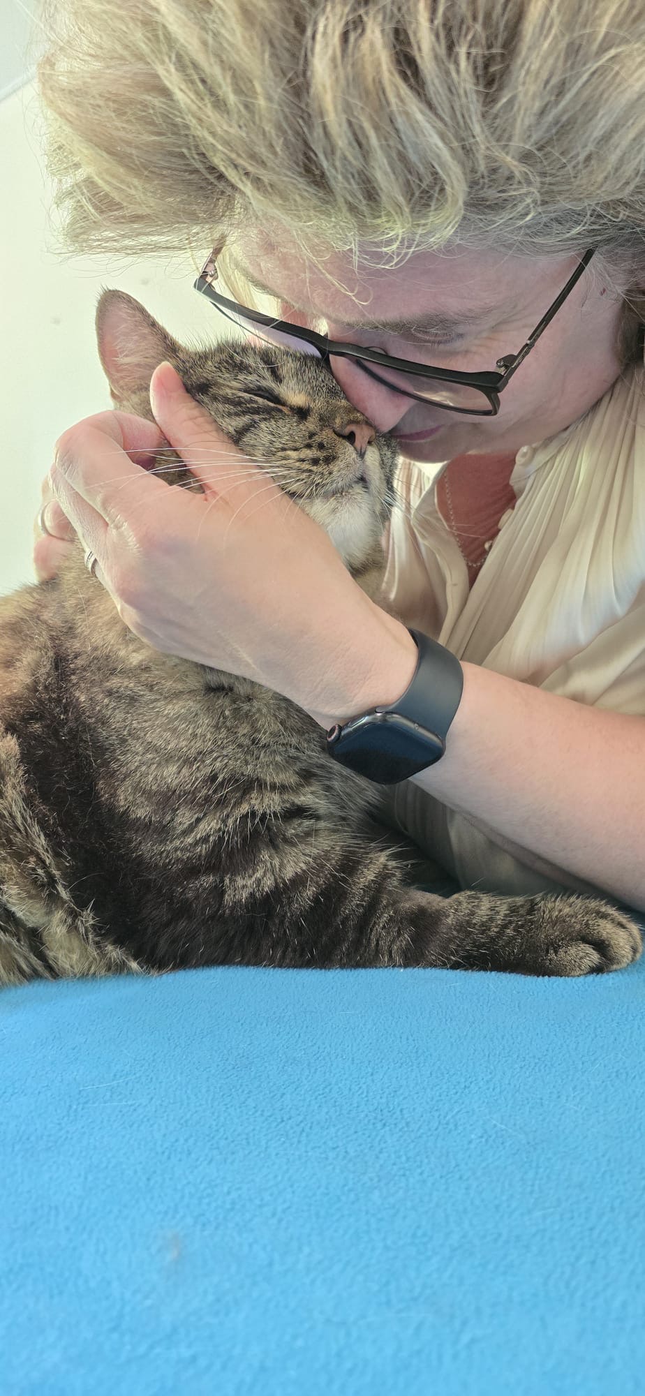 „Rette Kater Leos Herz ❤️ – jede Hilfe zählt“ campaign photo, 2 of 8