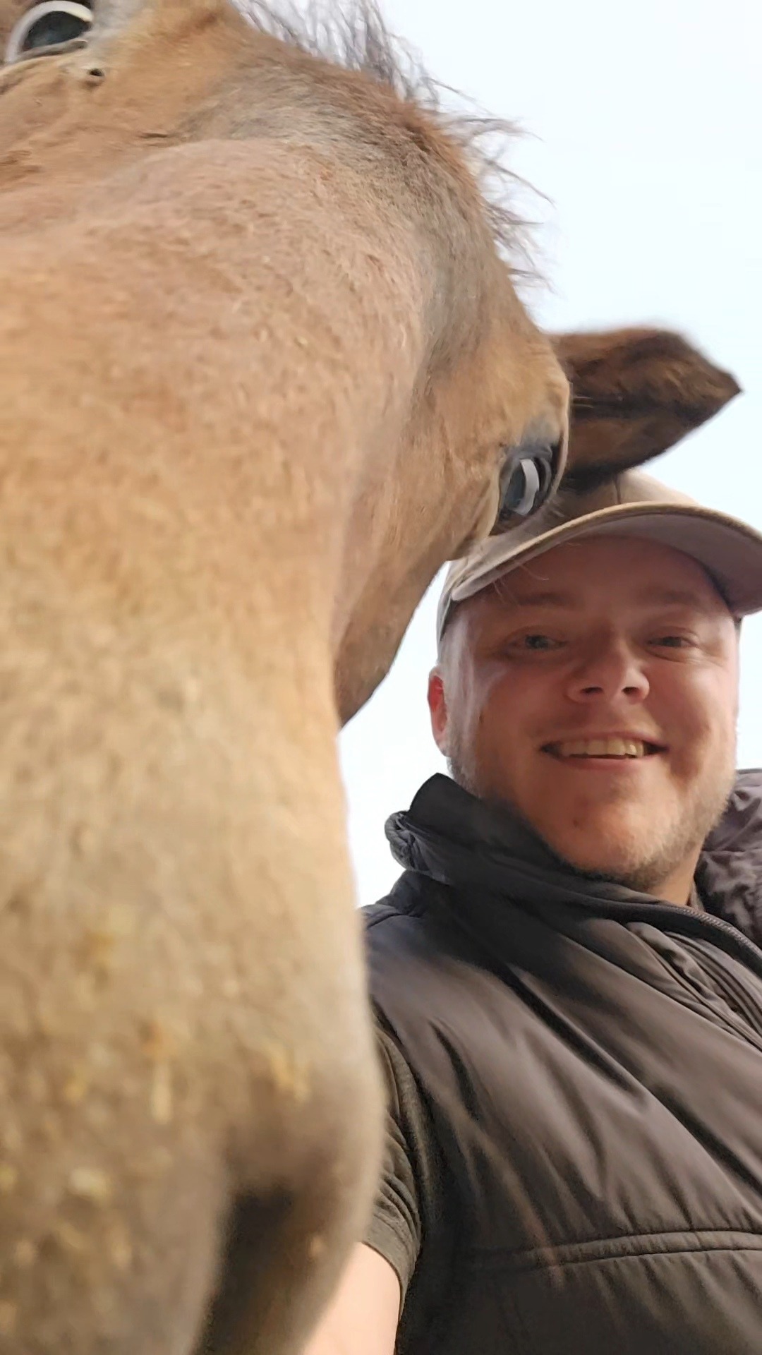 Please help me to pay towards my horse's colic vet bill campaign photo, 7 of 8