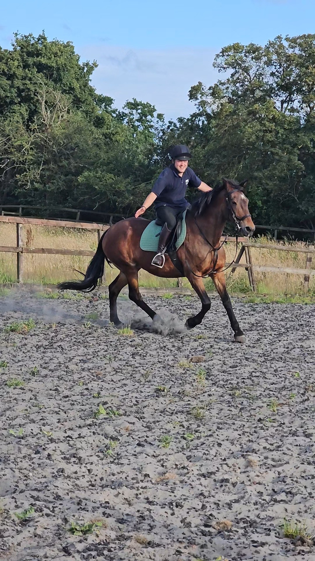 Please help me to pay towards my horse's colic vet bill campaign photo, 6 of 8