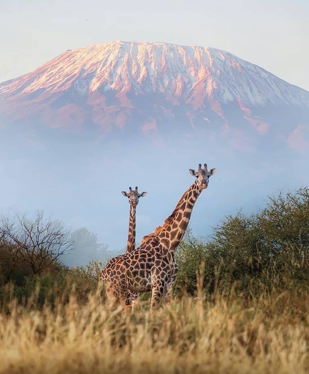 Volunteering trip for Tanzania campaign photo, 2 of 4