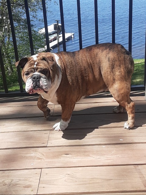 Rudy have a longer life. campaign photo, 5 of 6