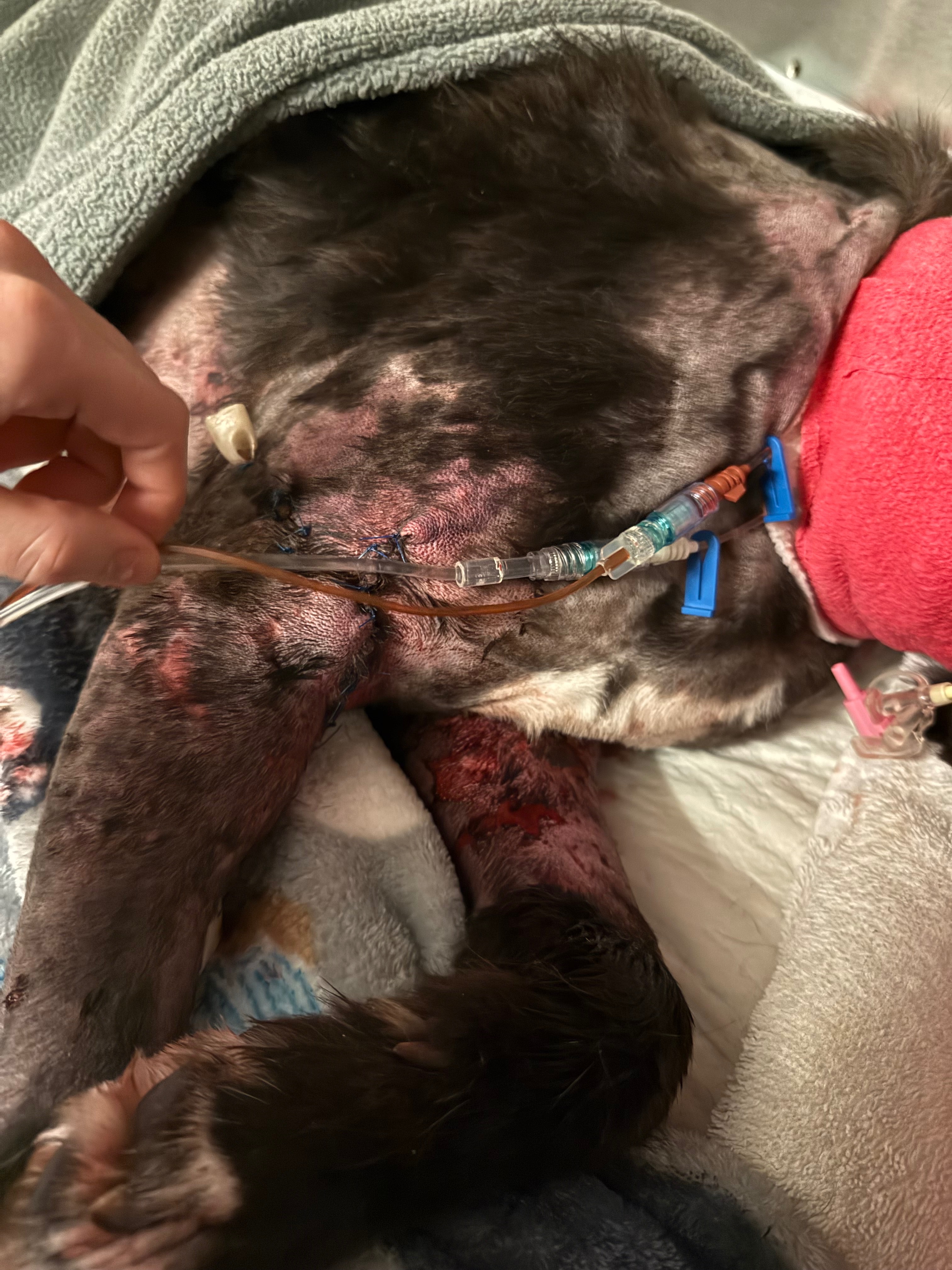 Help Timothy Heal: Support His Recovery campaign photo, 4 of 7