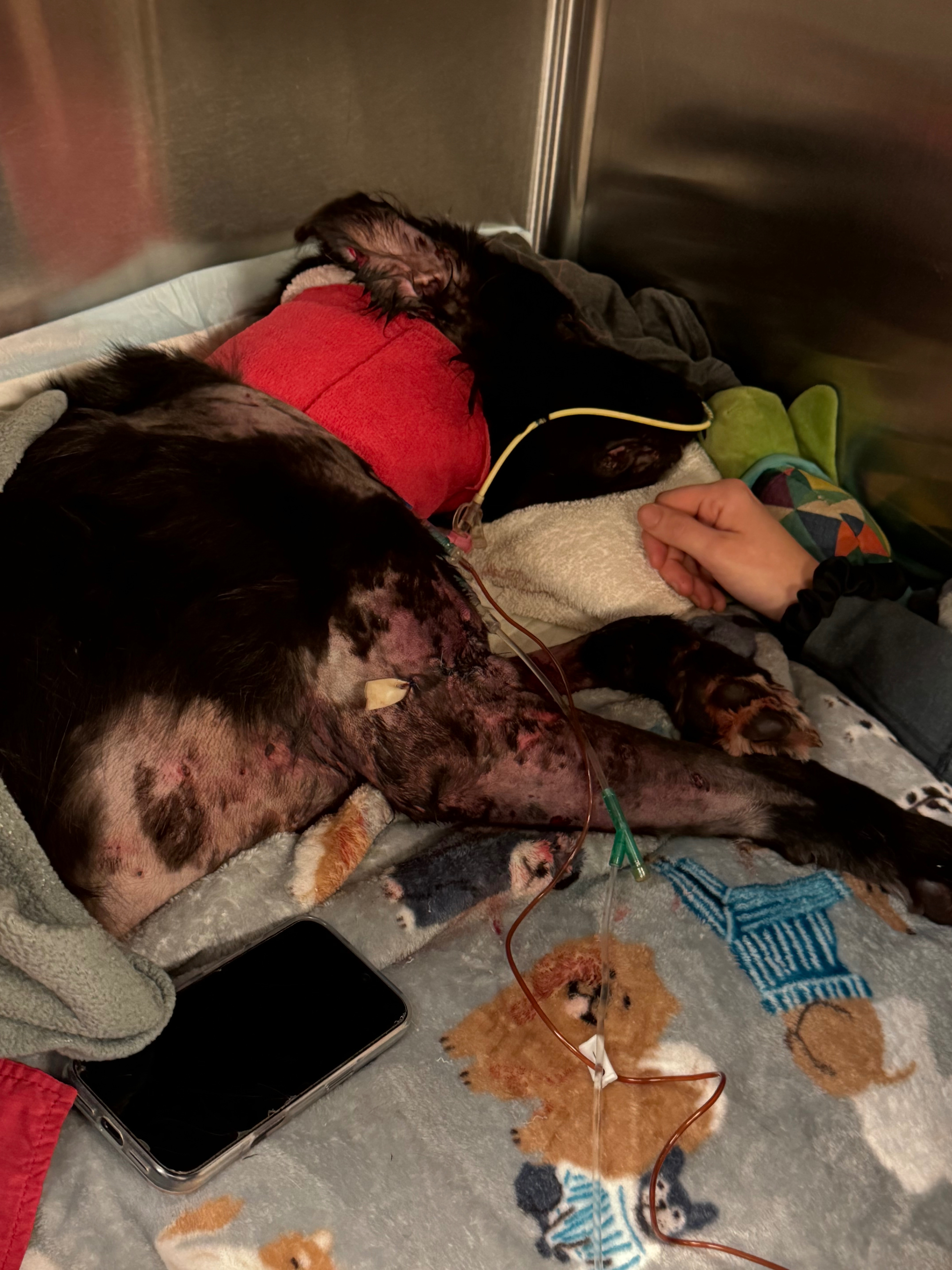 Help Timothy Heal: Support His Recovery campaign photo, 5 of 7