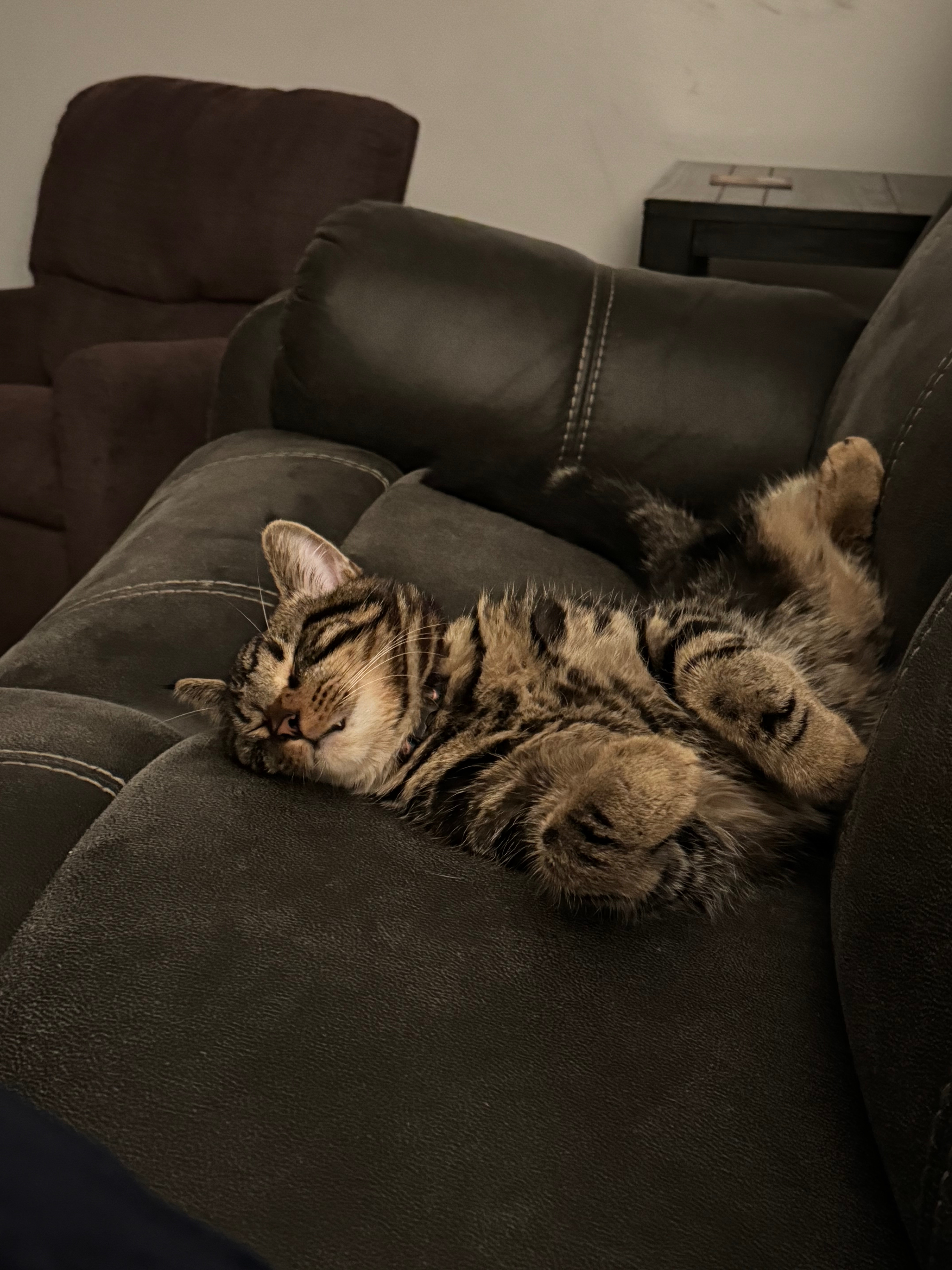 Support Anakin's Urgent Surgery and Care campaign photo, 2 of 8