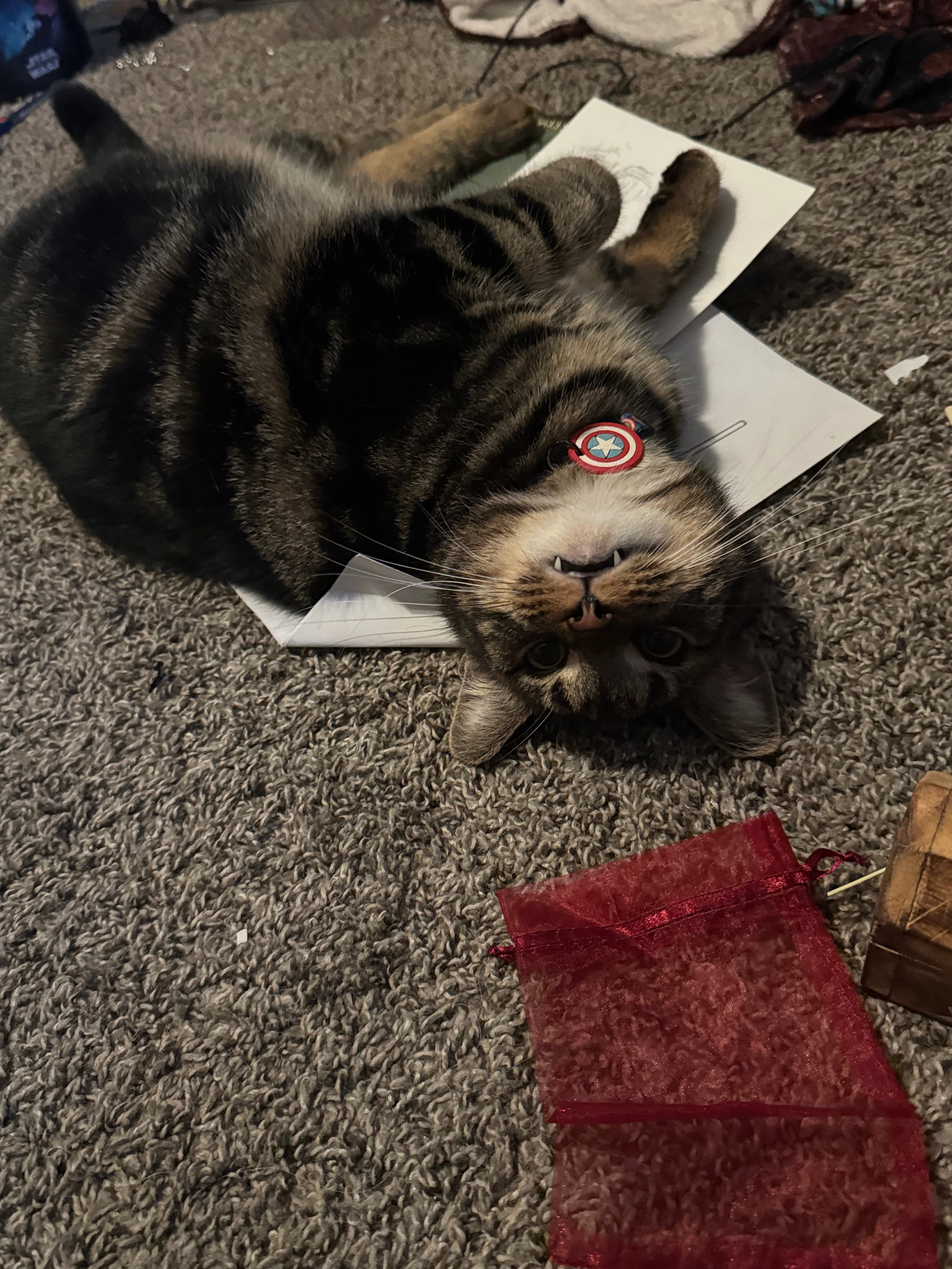 Support Anakin's Urgent Surgery and Care campaign photo, 4 of 8