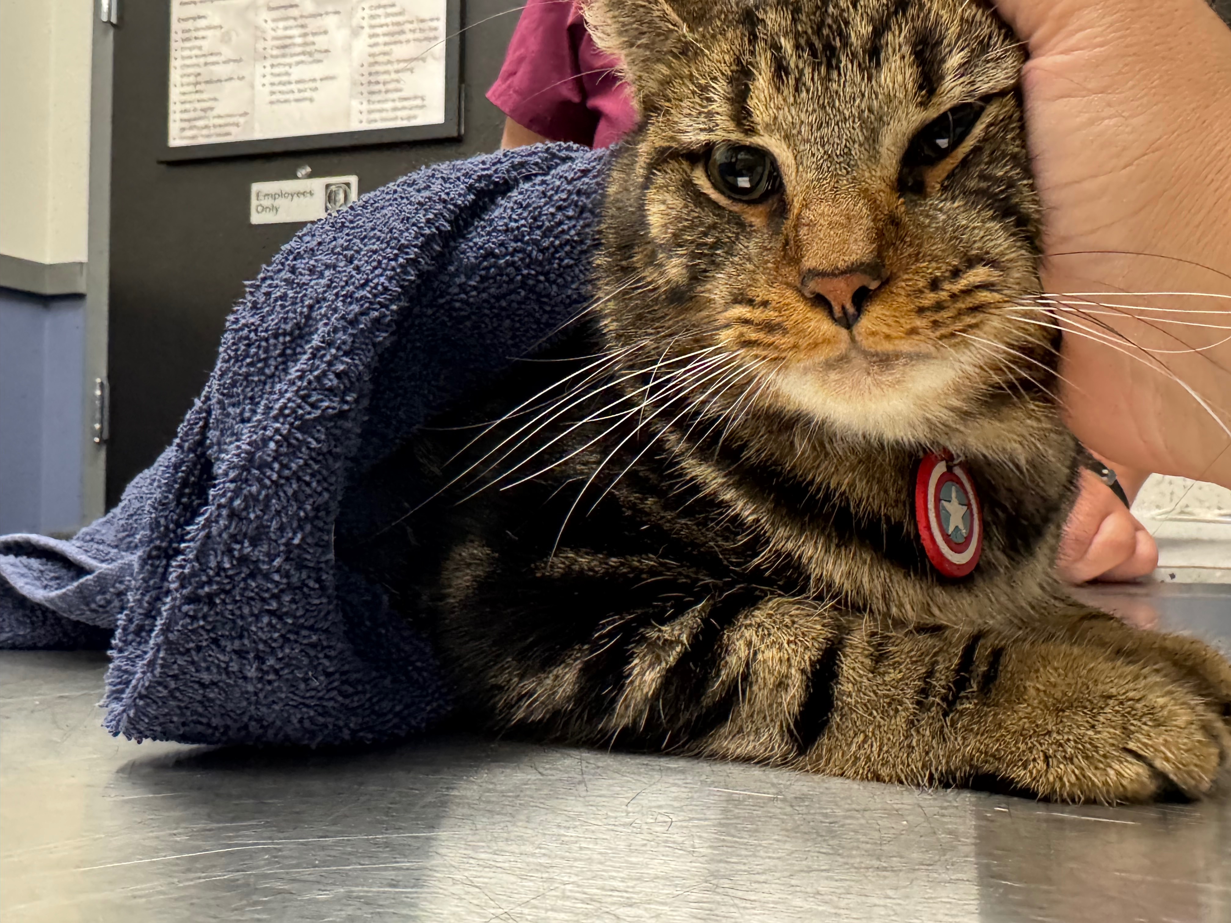 Support Anakin's Urgent Surgery and Care campaign photo, 5 of 8