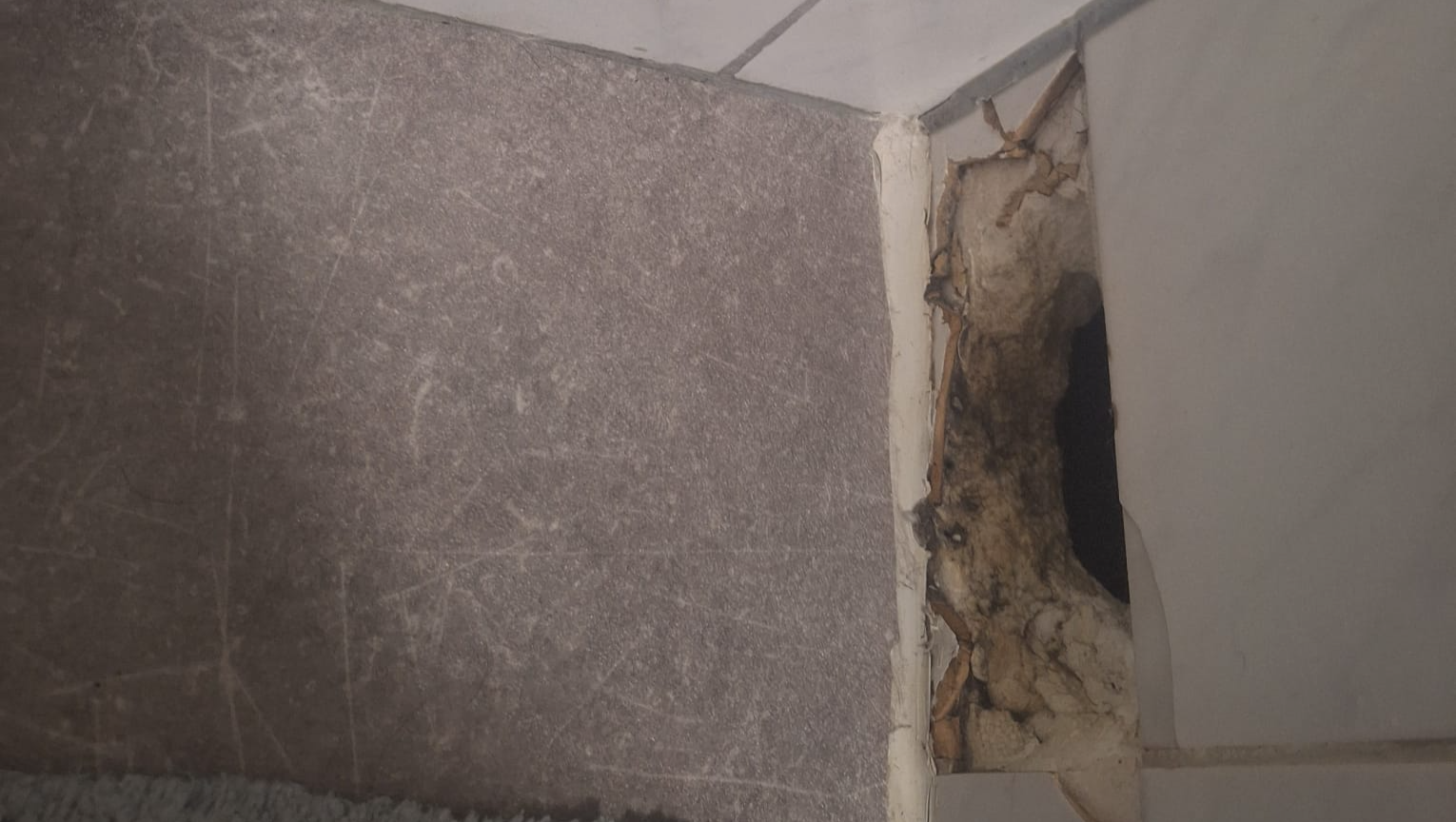 Ein Zuhause für Heilung- Mutter und Tochter brauchen Hilfe photo