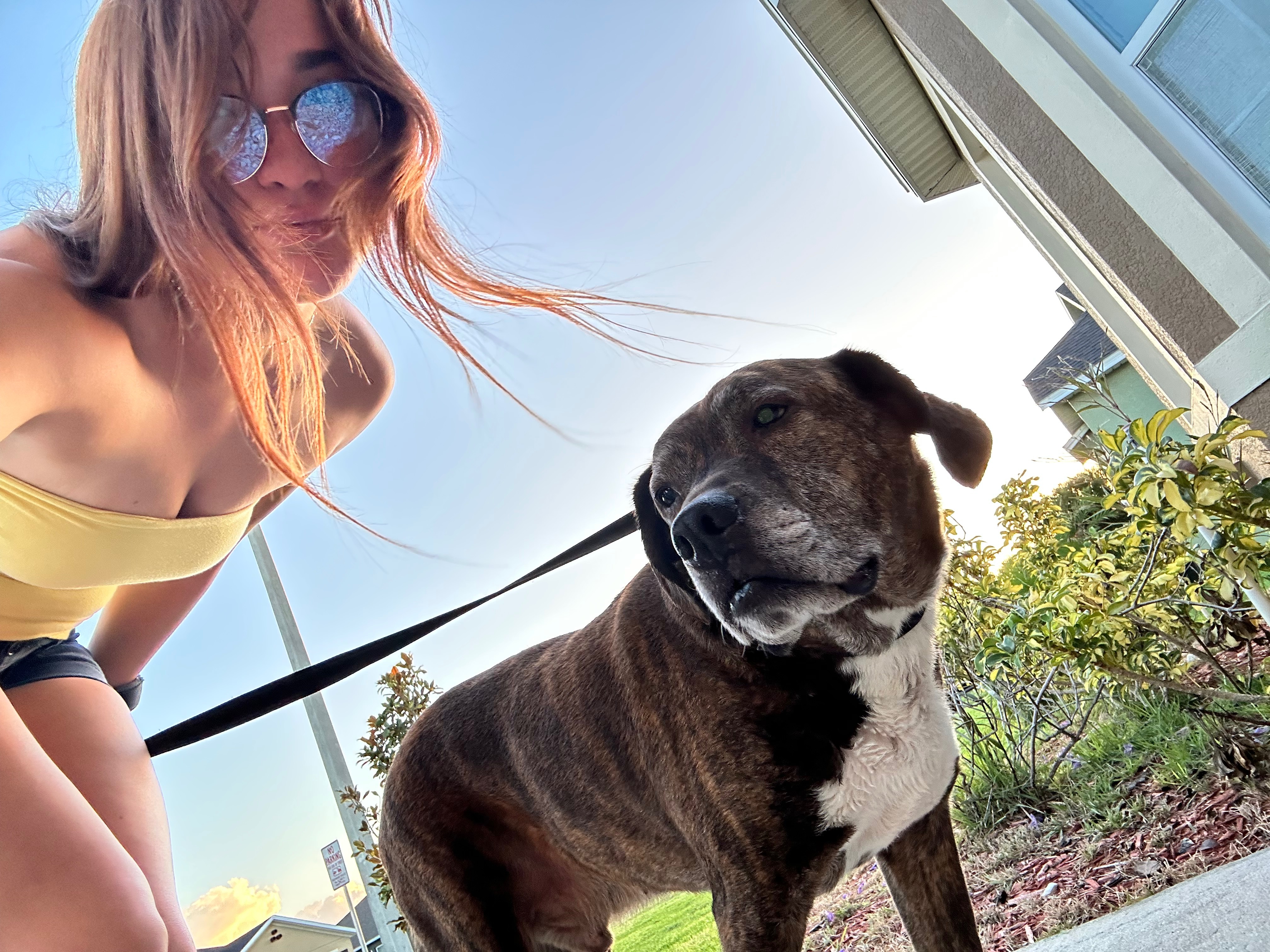 Help Save Leon’s Life – Our Sweet Rescue Dog Needs Surgery campaign photo, 7 of 8