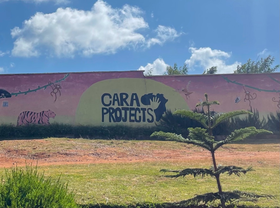 Cara projects 2026 campaign photo, 4 of 5