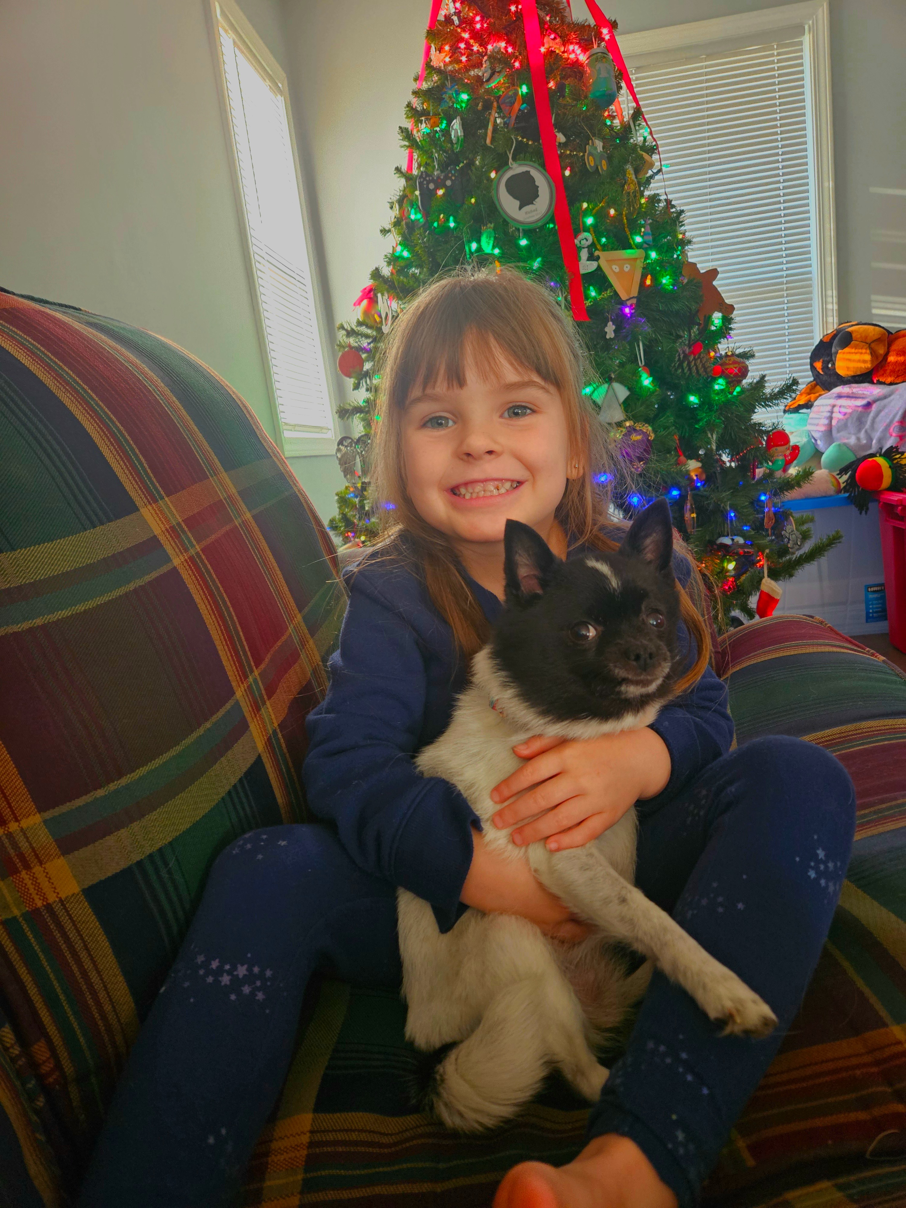 Help Snooky Recover from Life-Threatening Infection campaign photo, 2 of 8