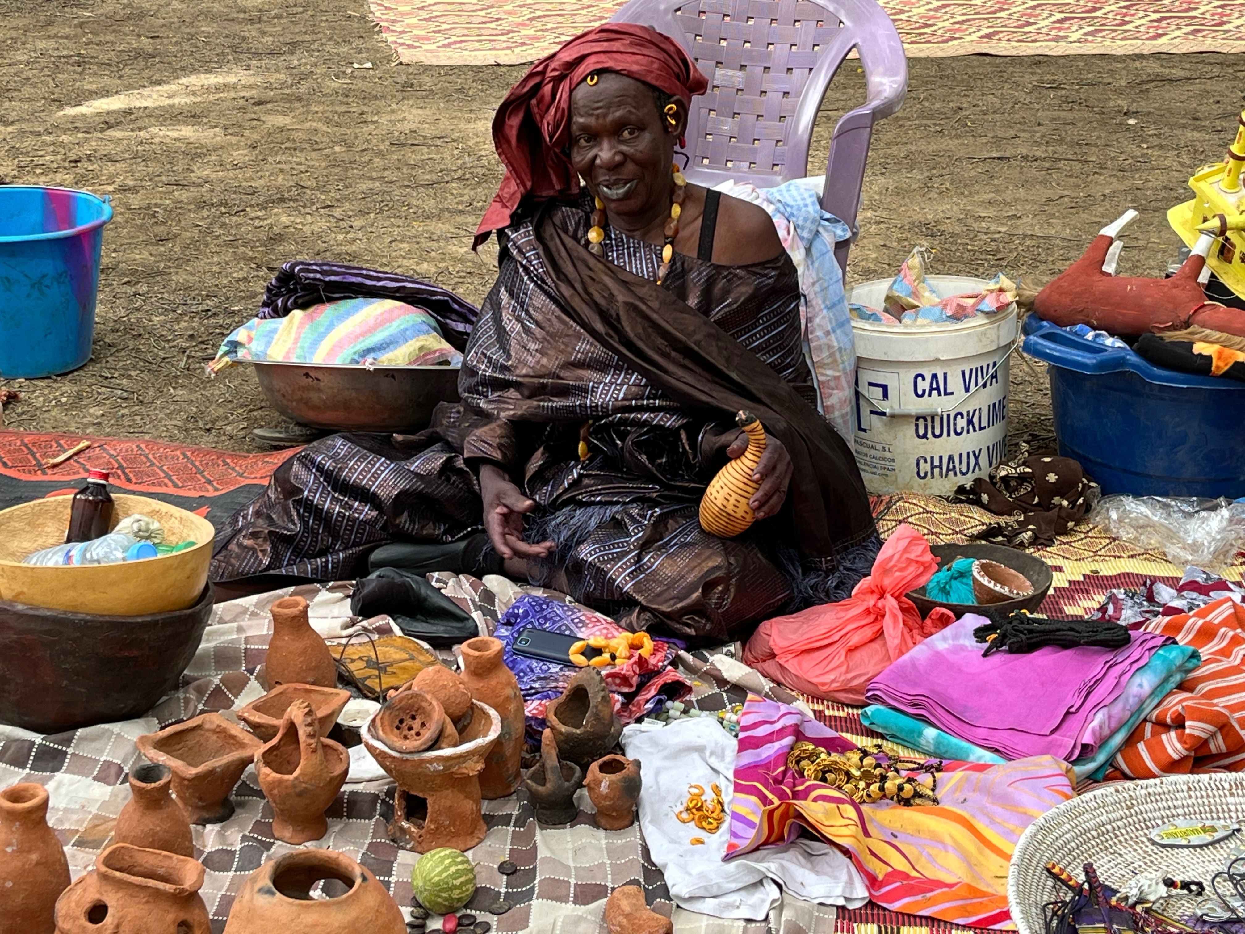 Build Ecovillages and Reforest Senegal with Harambee House campaign photo, 2 of 8