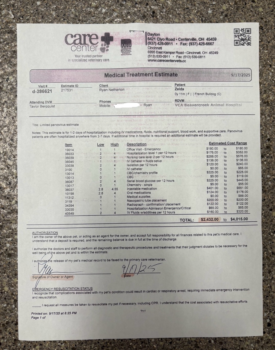 Urgent Help for Zelda's Vet Care campaign photo, 2 of 8