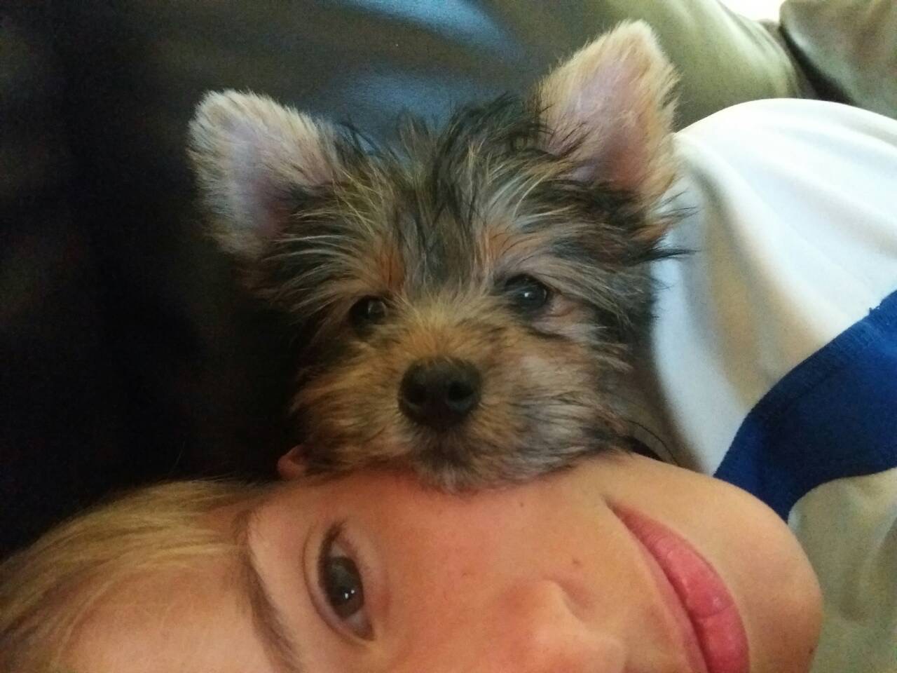 Help Save Our Sweet Lexi campaign photo, 2 of 7