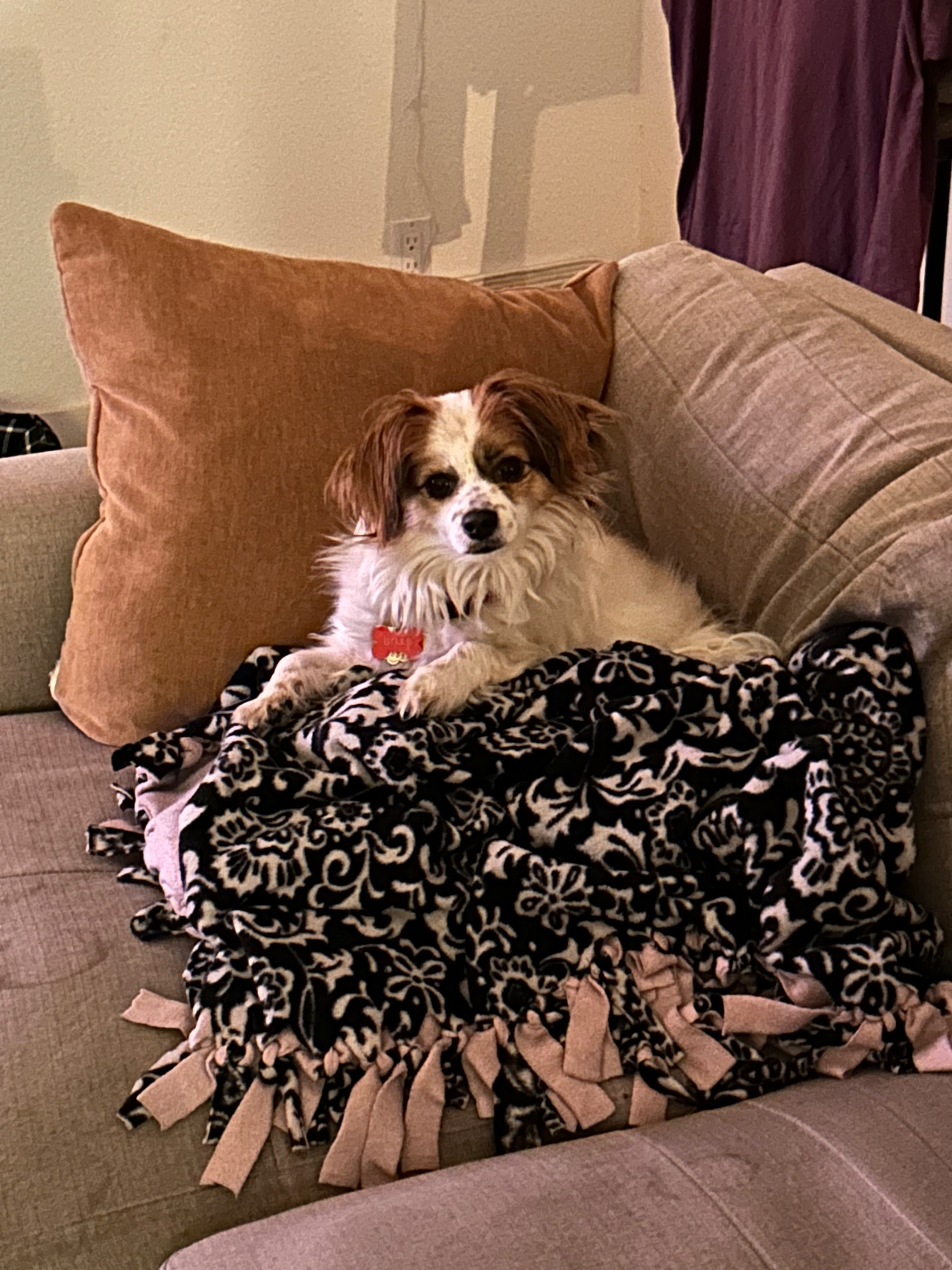 Help Bojji get surgery! campaign photo, 2 of 8
