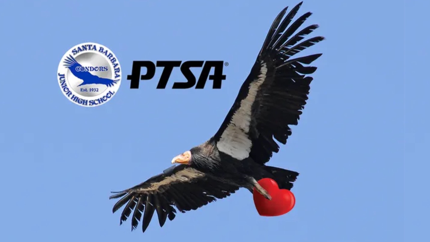 User-uploaded image 1