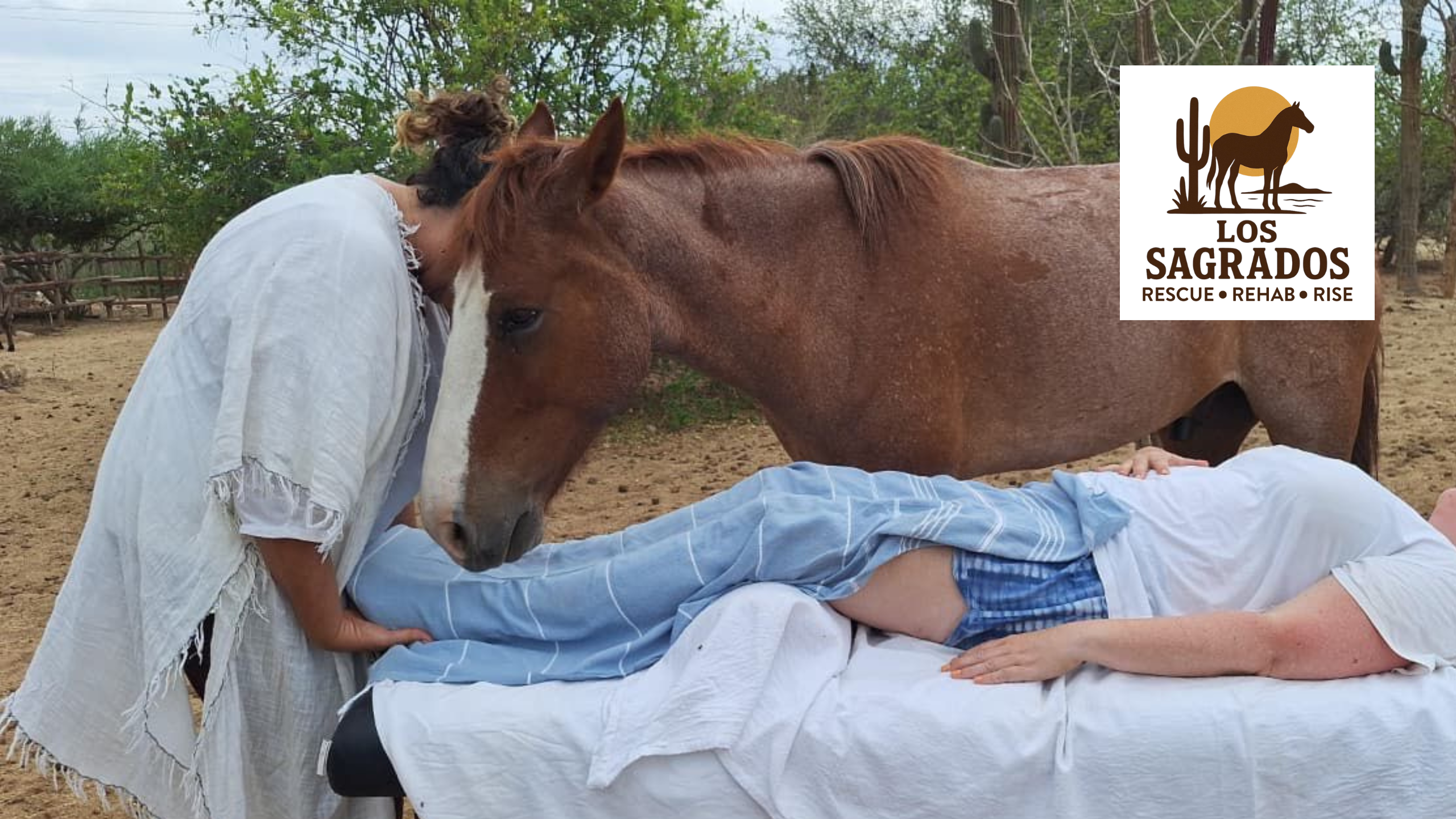 Help Sustain our Daily Operations on the Ranch campaign photo, 5 of 8