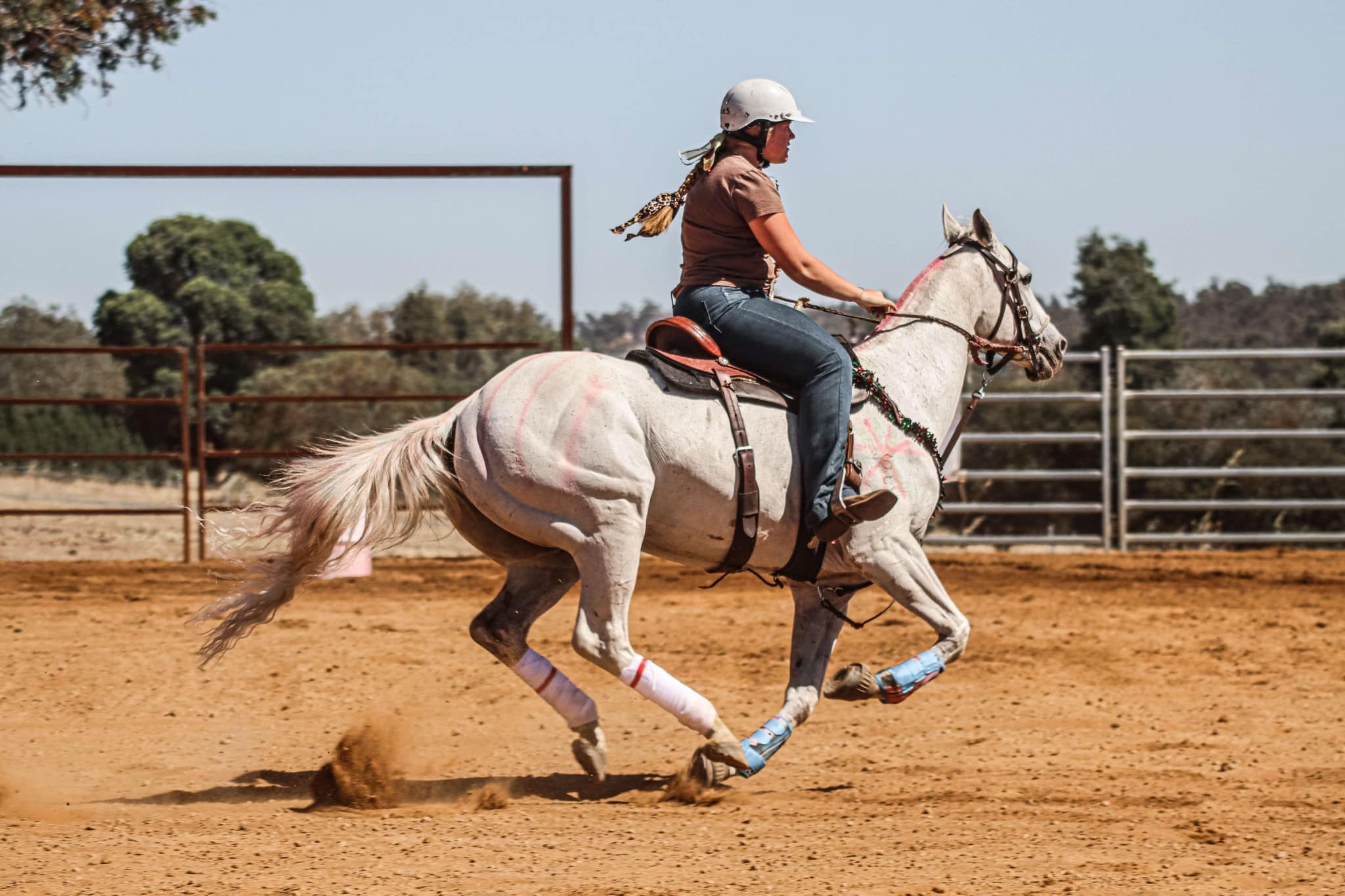 Rodeo Dreams campaign photo, 5 of 7