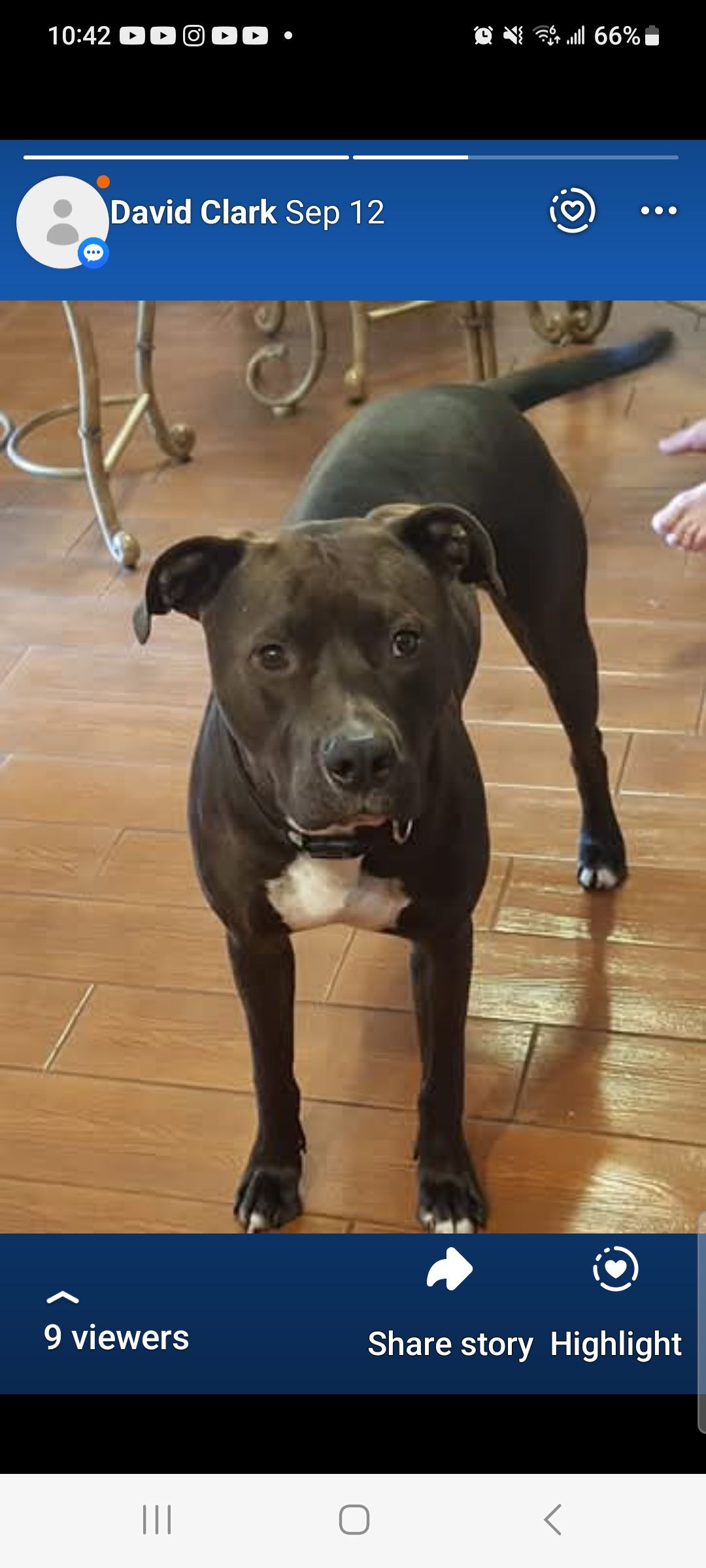 User-uploaded image 1