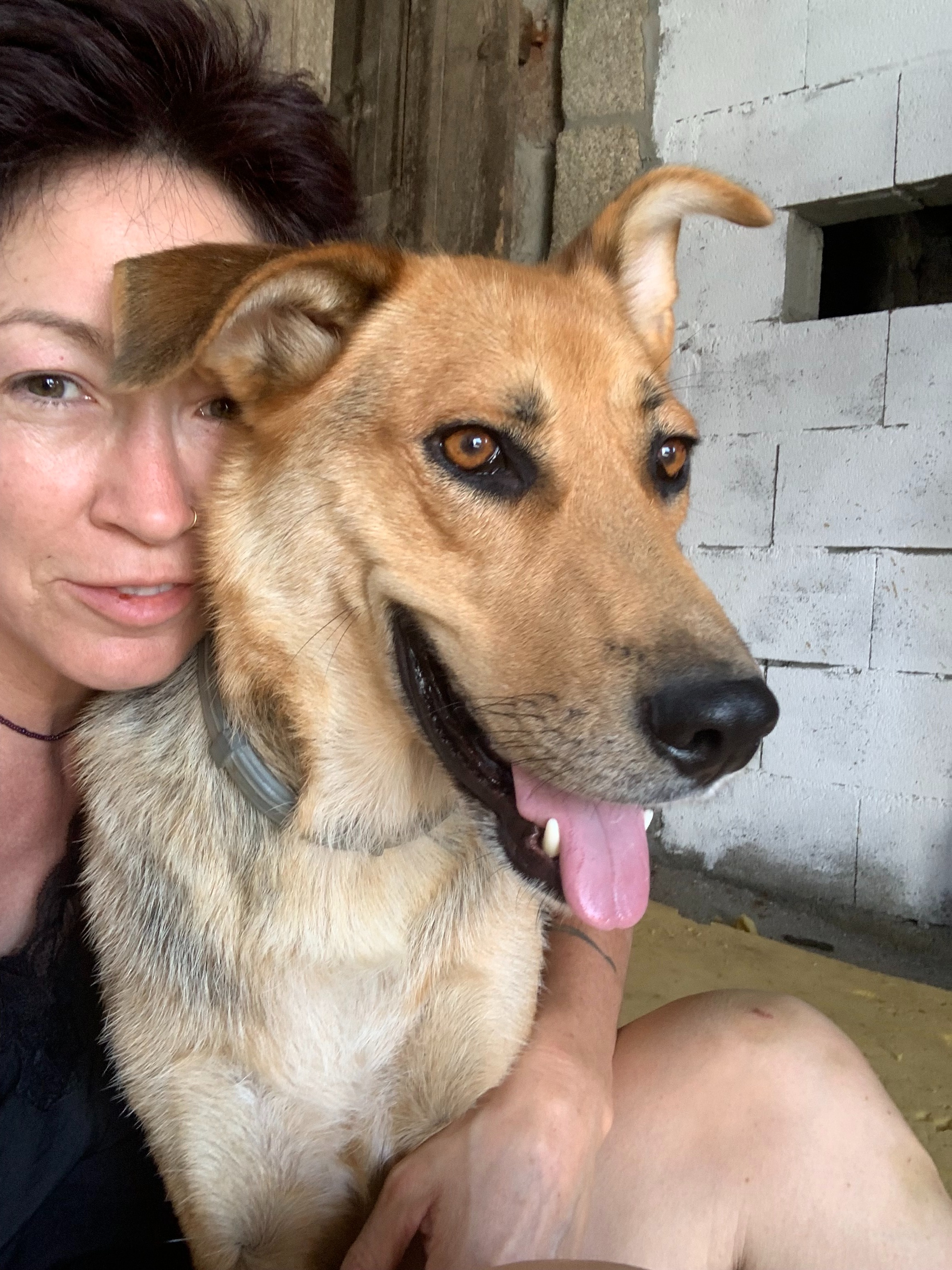 Help Jenni: From Rescue Dogs to Creative Retreat campaign photo, 7 of 8