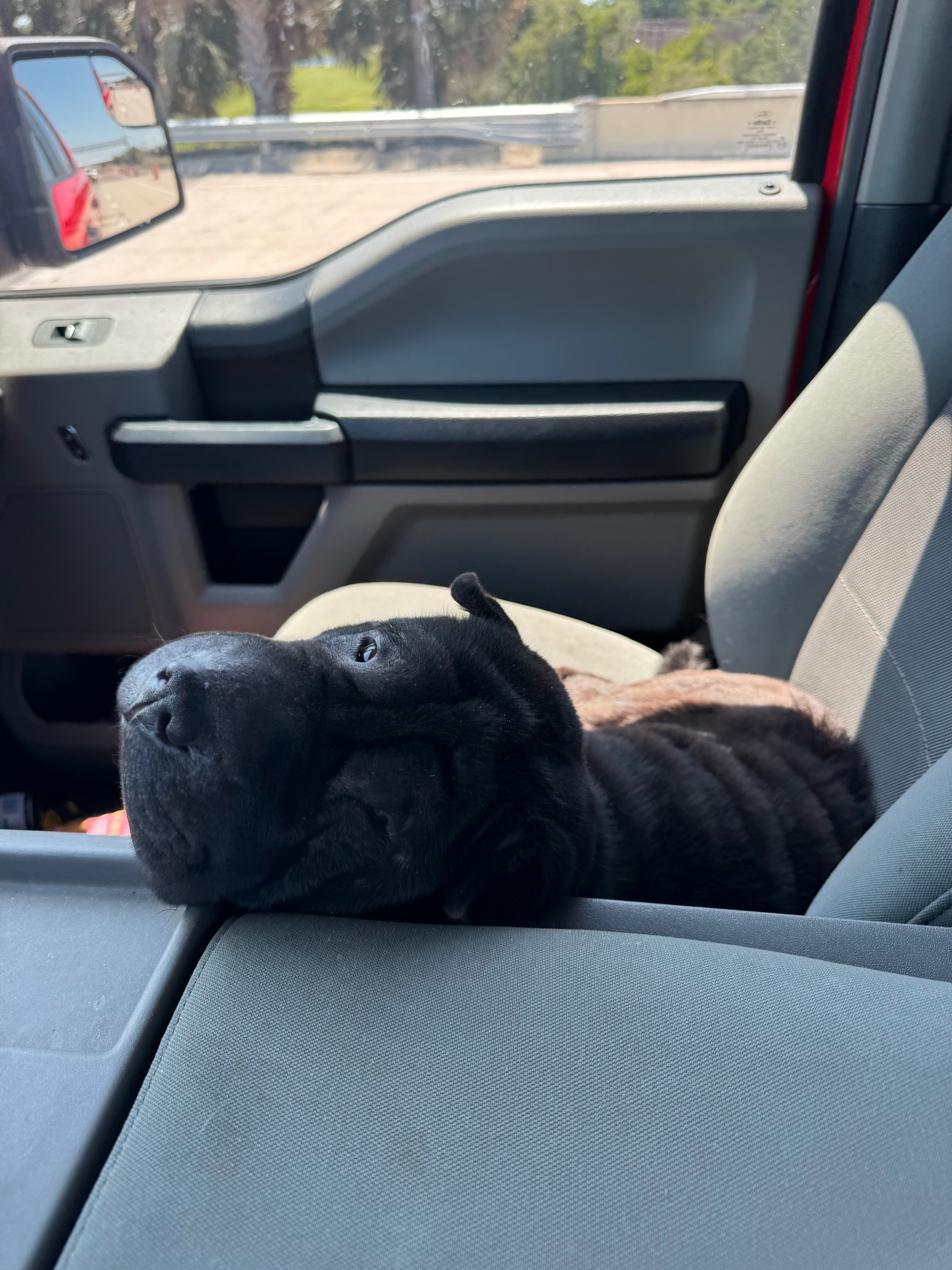 Help Oshie Get Urgent Medical Care campaign photo, 6 of 8