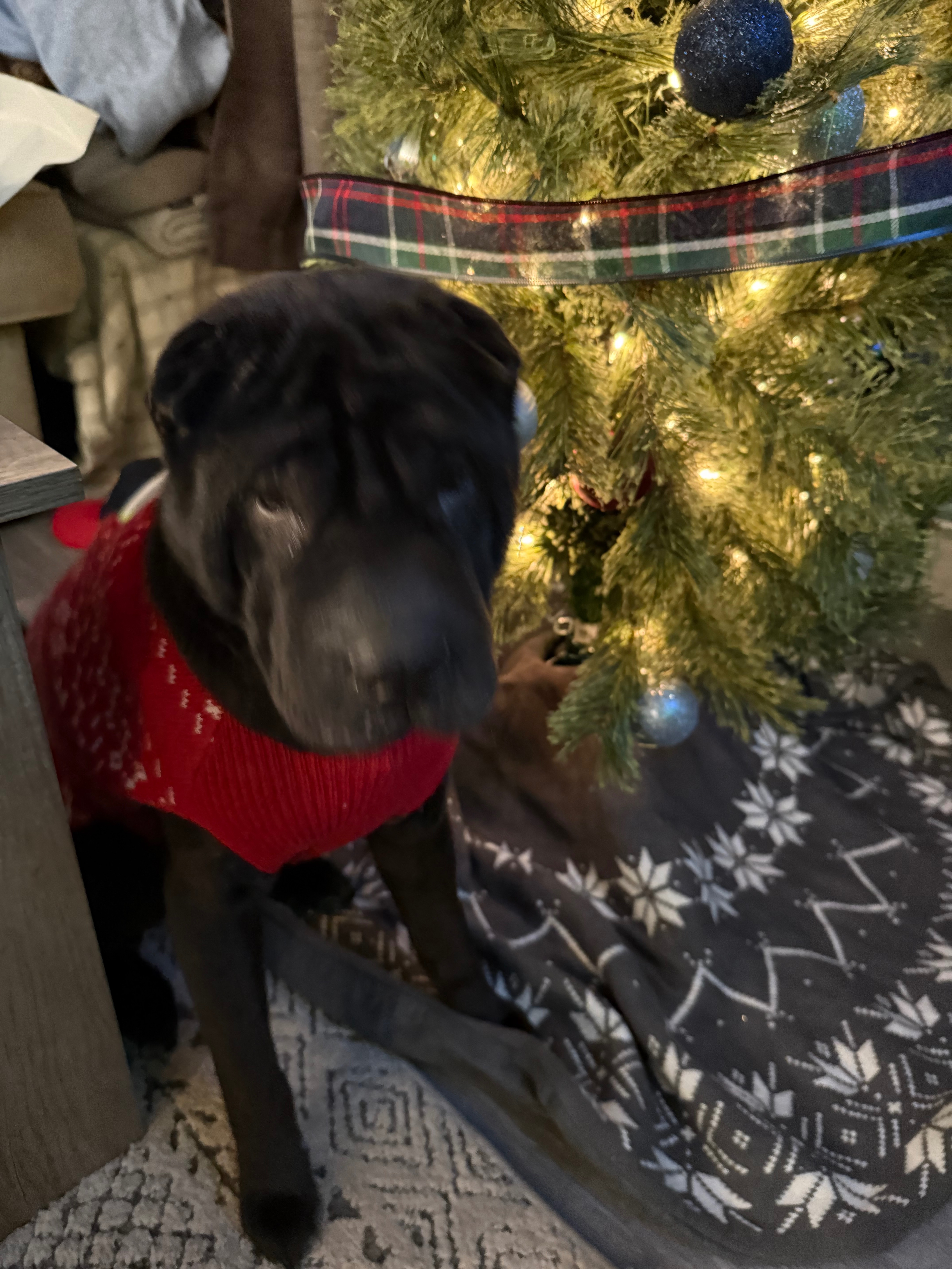 Help Oshie Get Urgent Medical Care campaign photo, 5 of 8