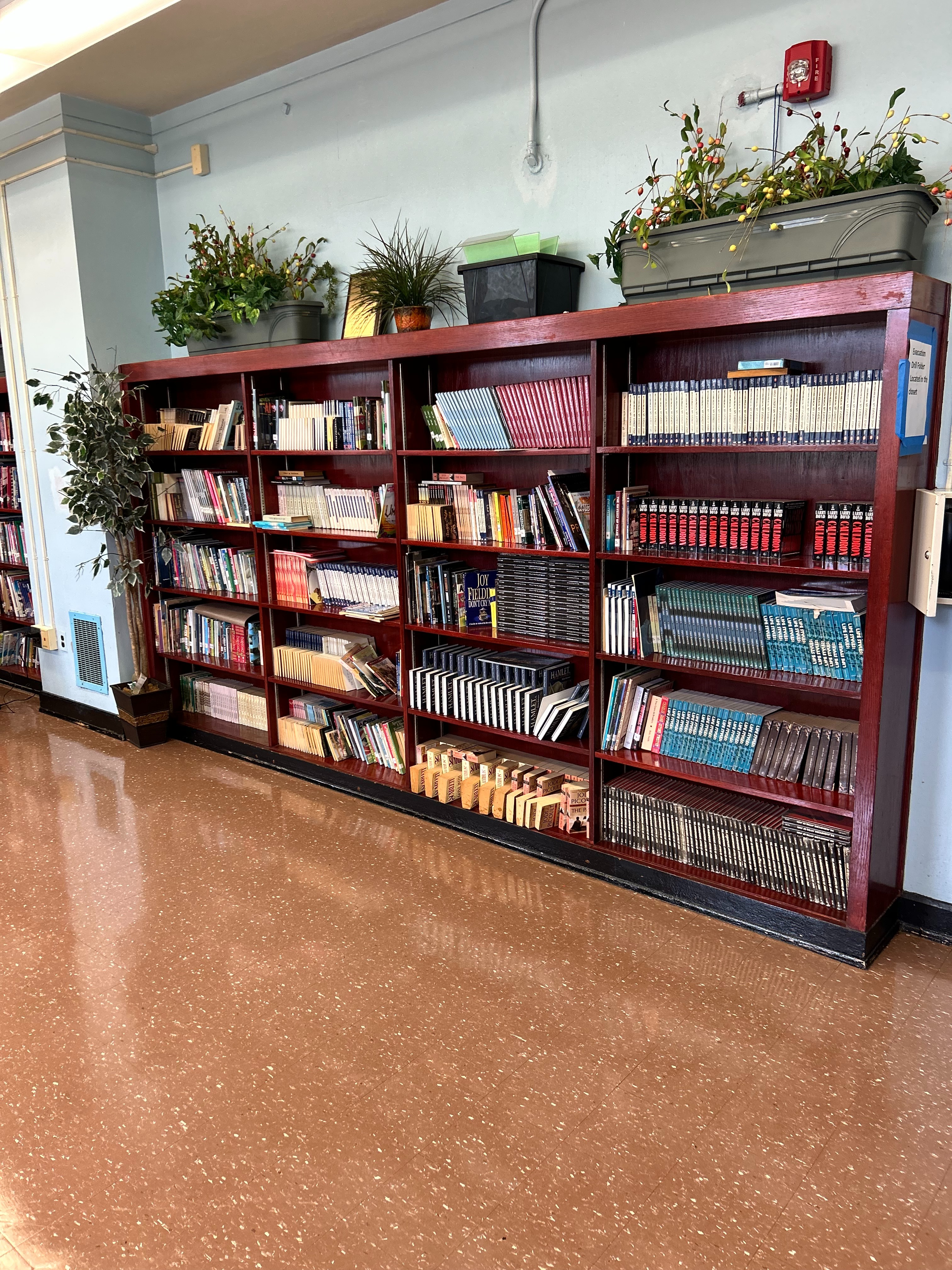 Help us rebuild the library, donate today campaign photo, 2 of 6