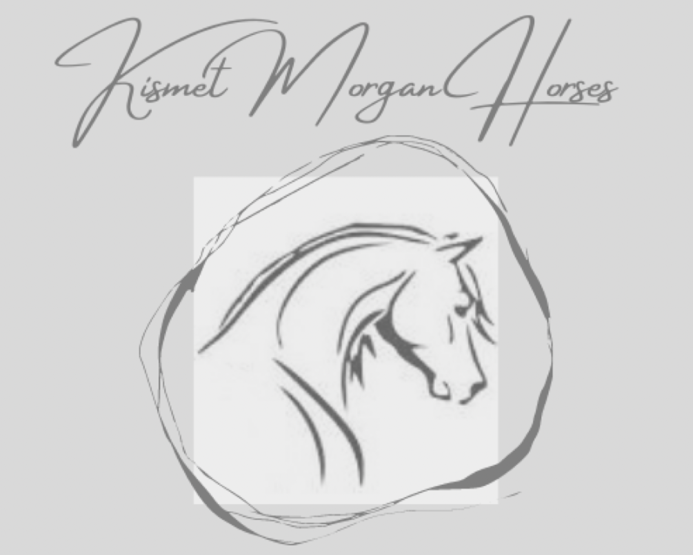 Donate for Morgan Mares' Recovery campaign photo, 2 of 4
