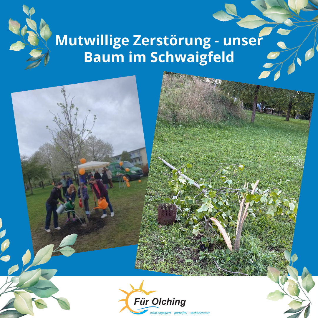 User-uploaded image 1