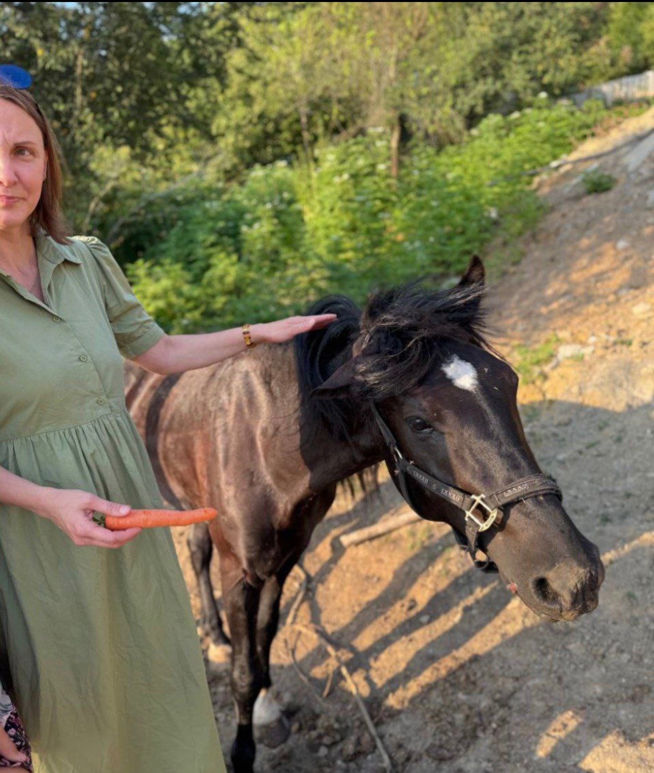 Gab all ihre Ersparnisse und rettete das Pferd campaign photo, 4 of 8