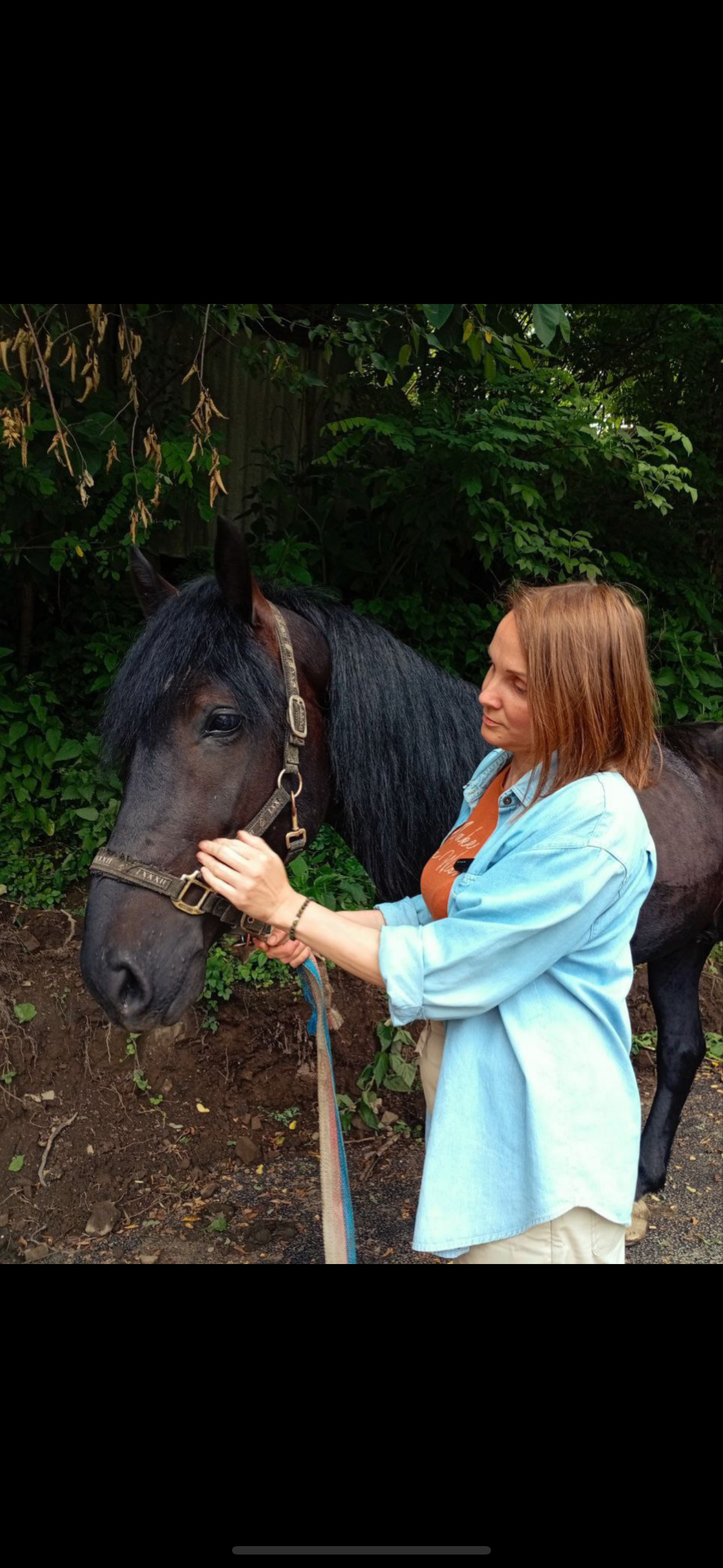 Gab all ihre Ersparnisse und rettete das Pferd campaign photo, 6 of 8