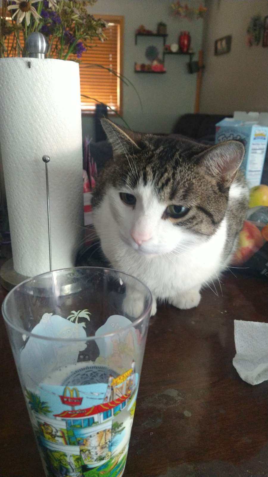 Assist with Luna's Vet and Cremation Costs campaign photo, 4 of 5