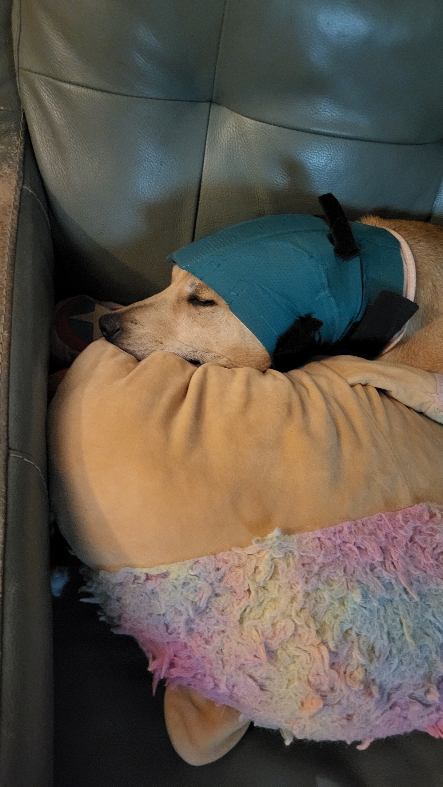 Help Nyla get the surgery she needs campaign photo, 2 of 5