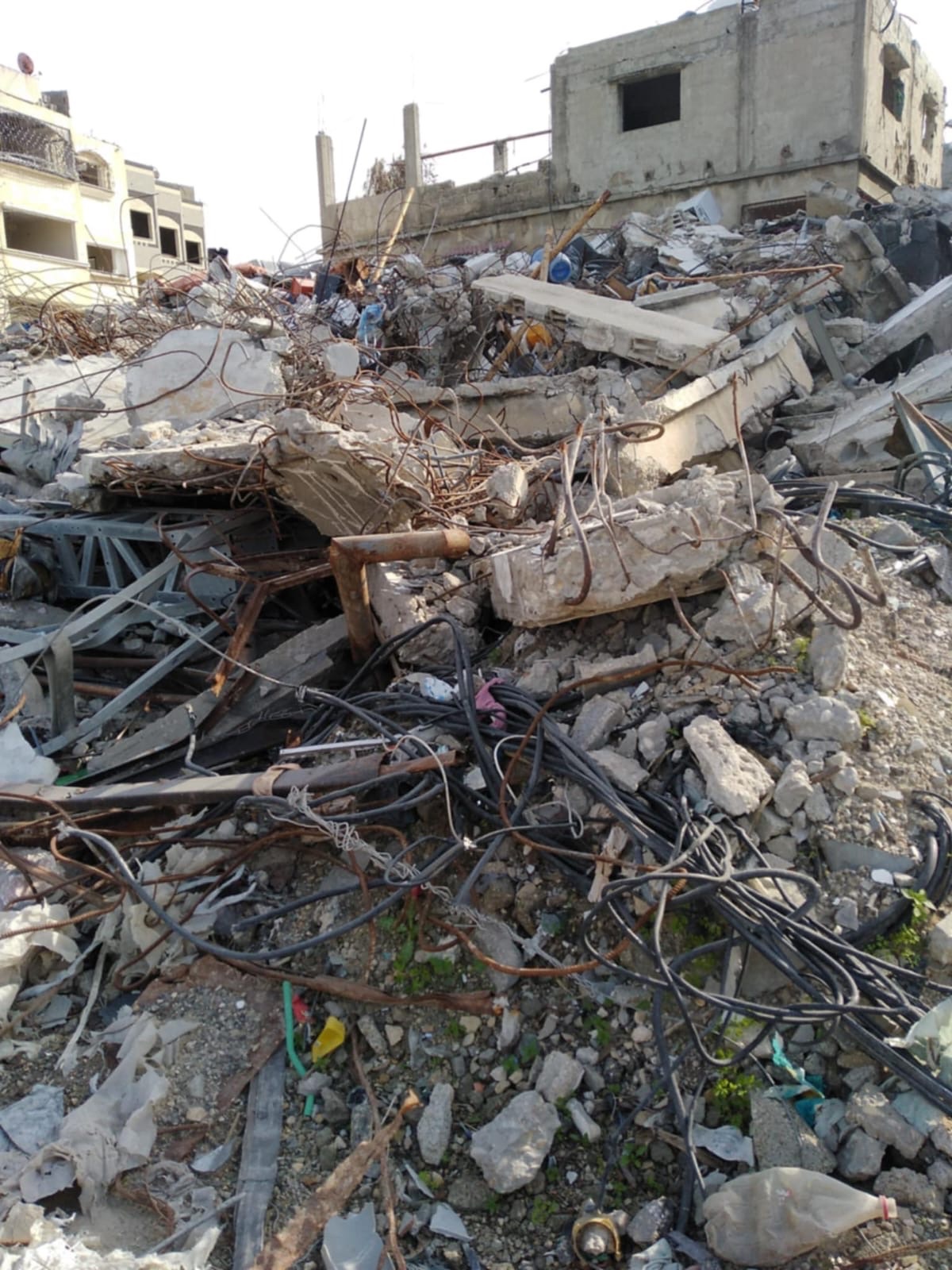 Pregnant, Starving, and Homeless in Gaza — Please Help Us campaign photo, 5 of 9