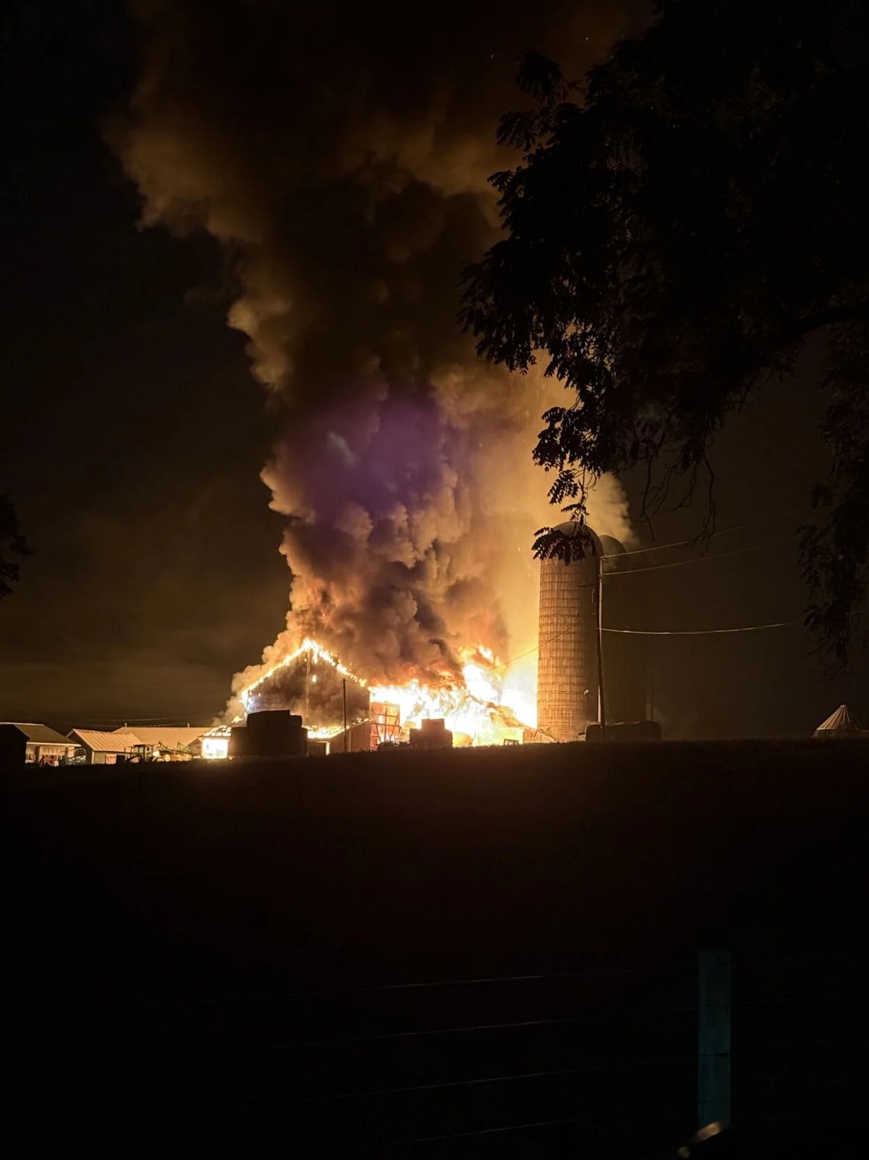 Rebuild Farm campaign photo, 4 of 5