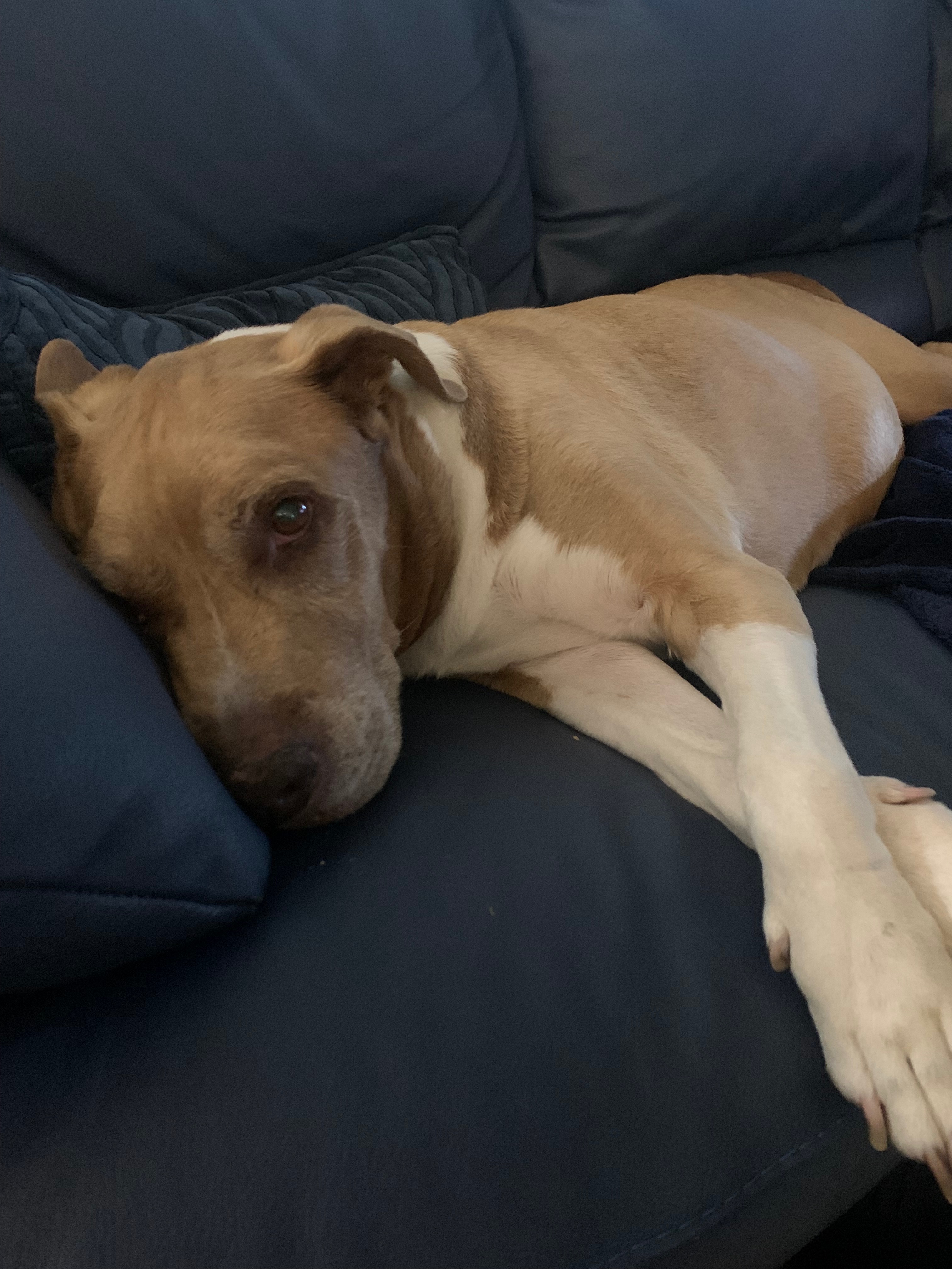 Support David After Heartbreaking Loss campaign photo, 2 of 5
