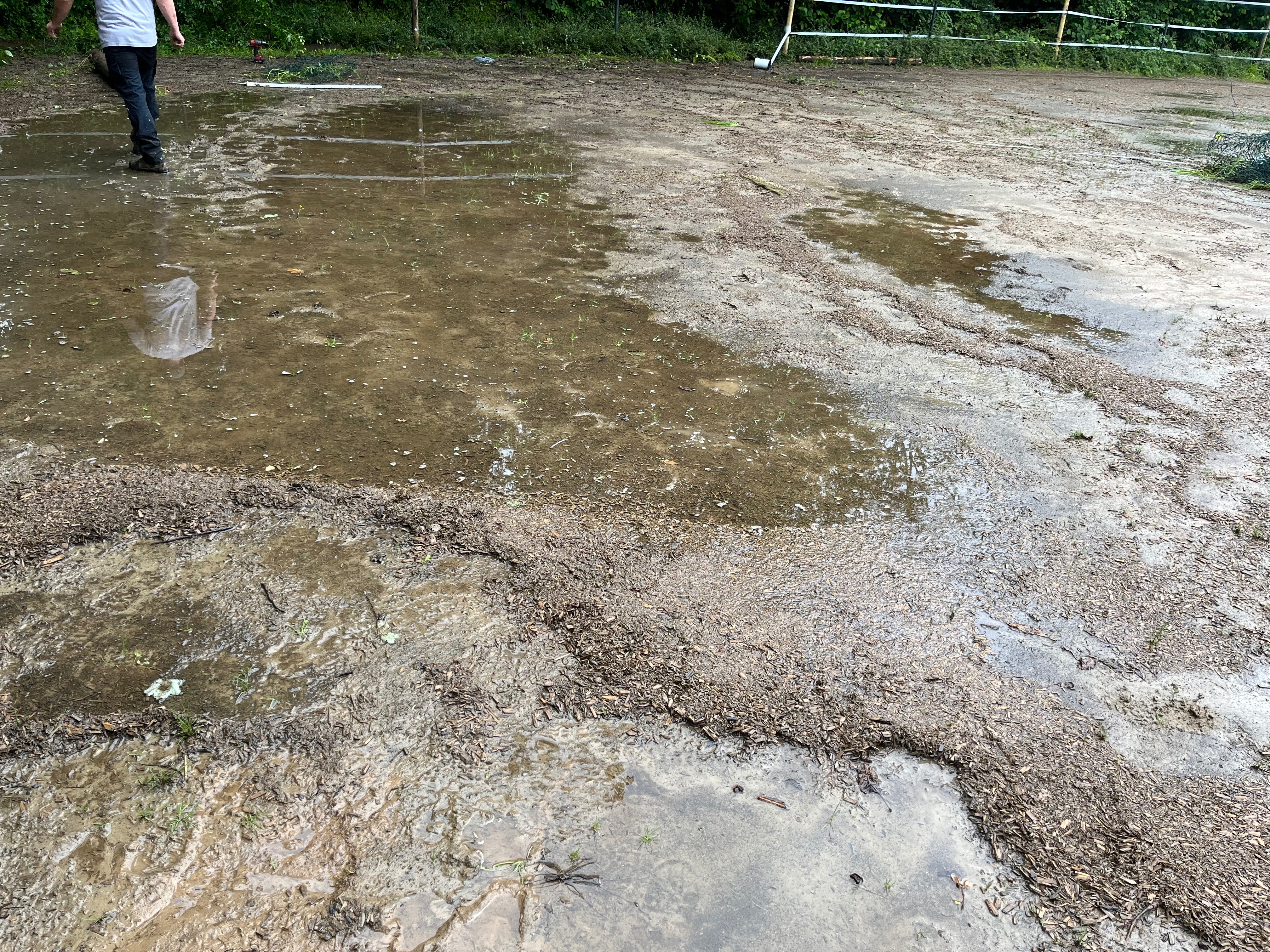 Kampagnen-Foto für Reitplatzsanierung, 2 von 4