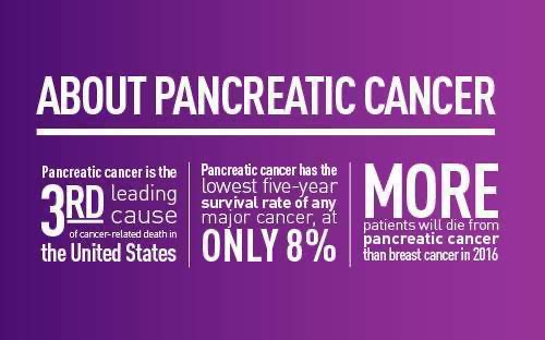Help Educate and Combat Pancreatic Cancer campaign photo, 2 of 6