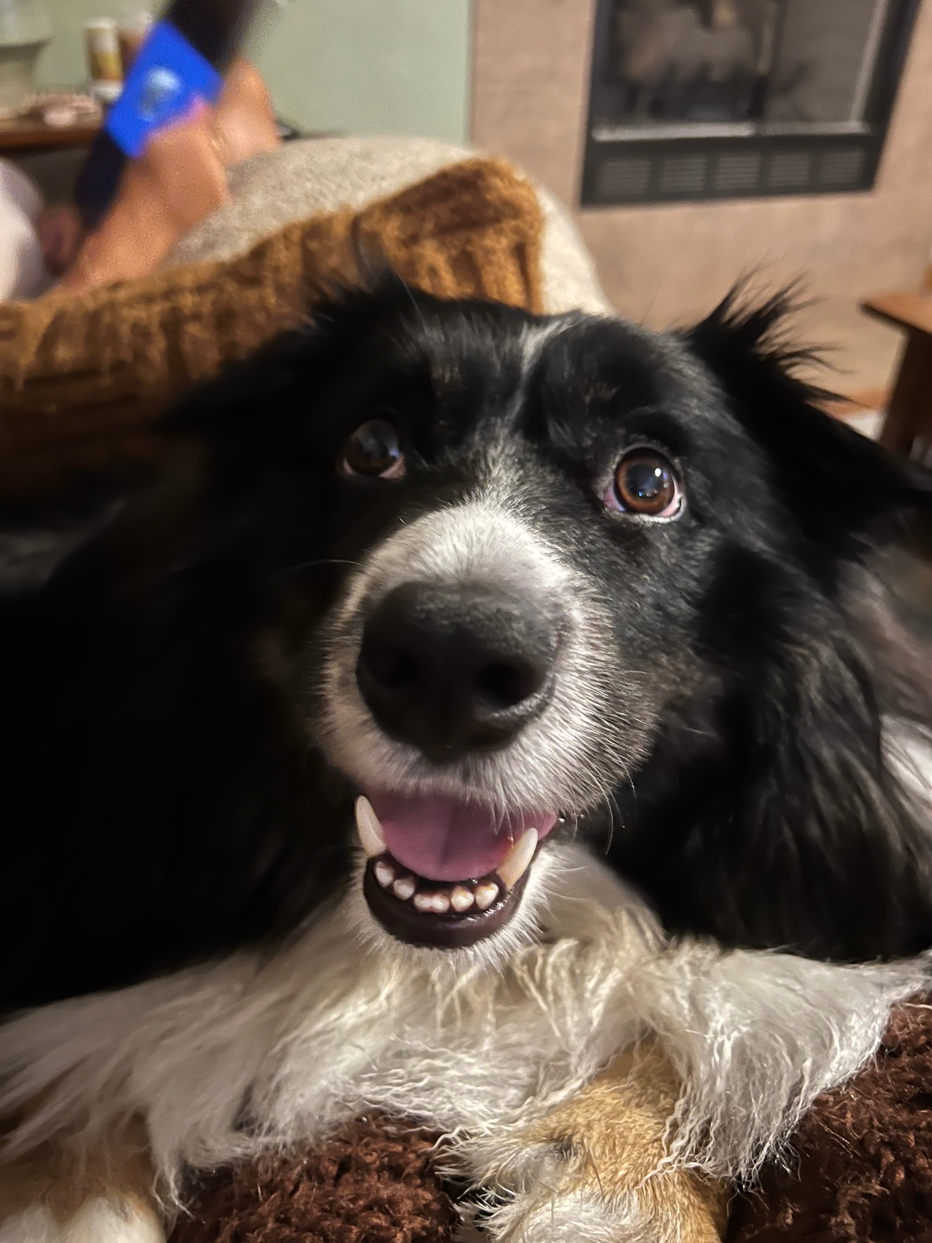 Support Ranger's ACL Surgery Recovery campaign photo, 5 of 6