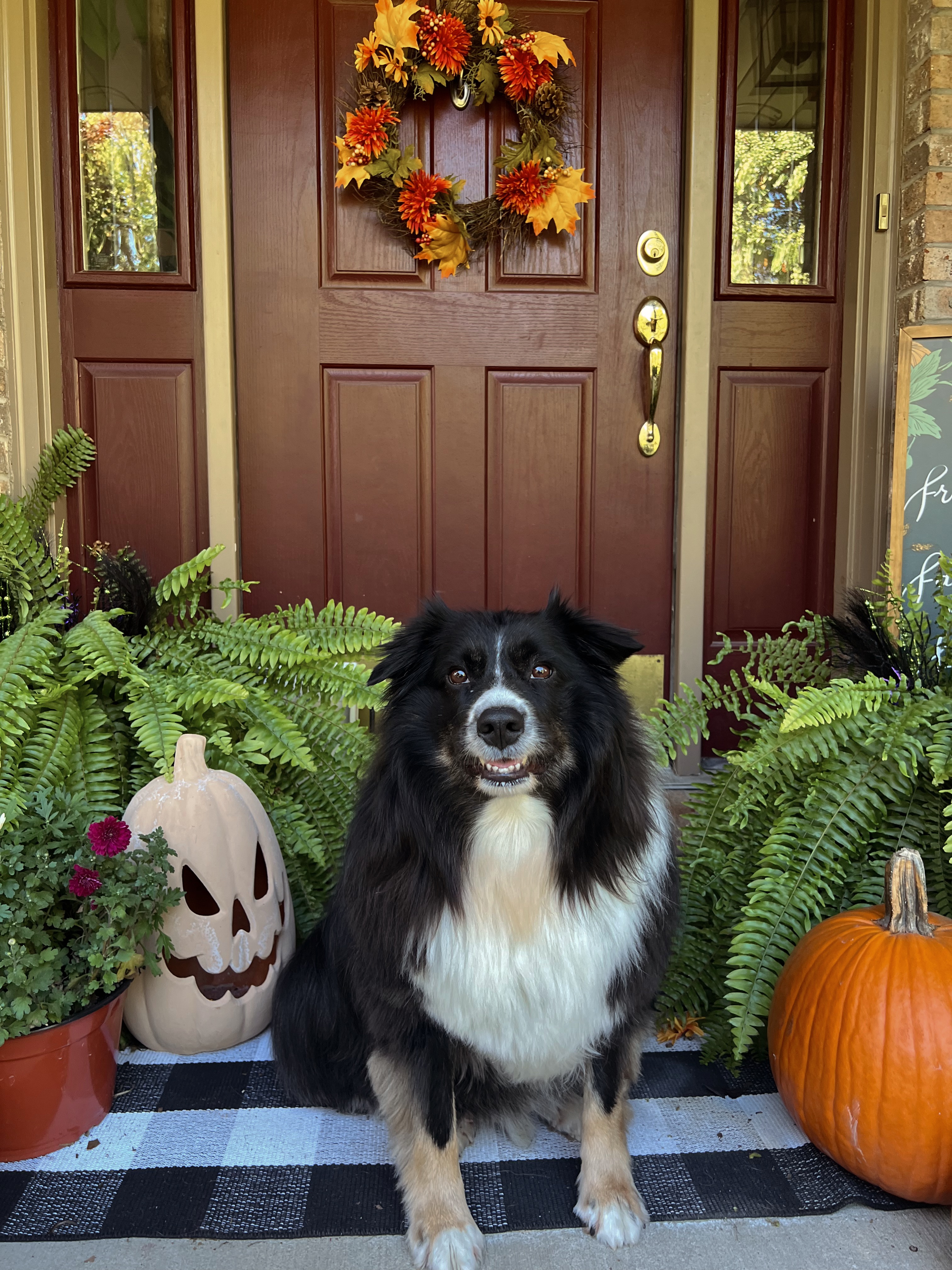 Support Ranger's ACL Surgery Recovery campaign photo, 2 of 6