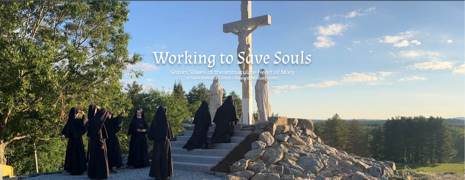 User-uploaded image 1