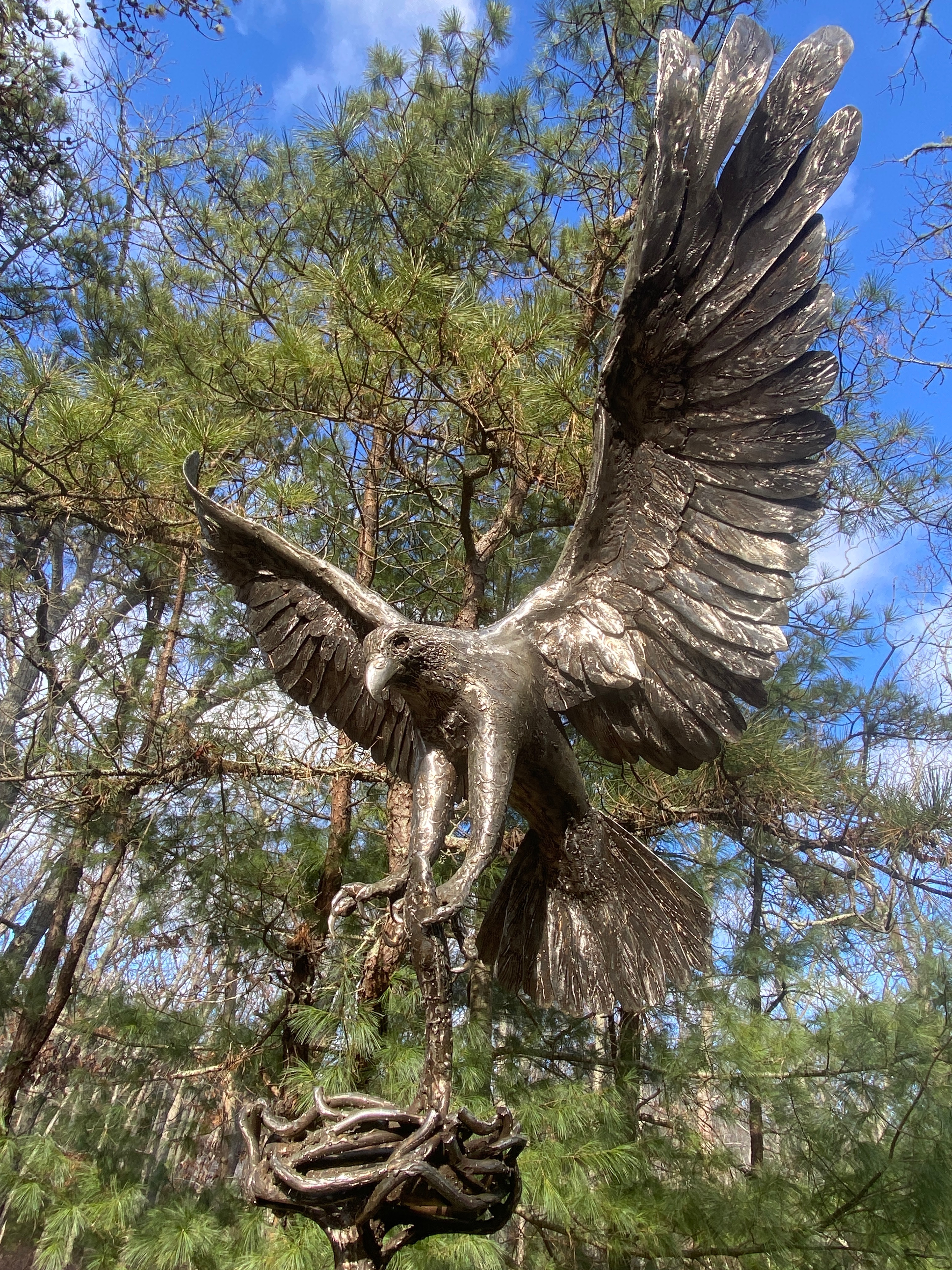 Honor Gus Ben David: Osprey Memorial Fund campaign photo, 4 of 6