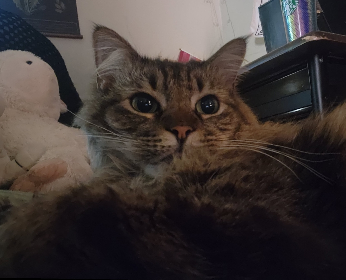 Help Boug get Lifesaving Surgery campaign photo, 2 of 8