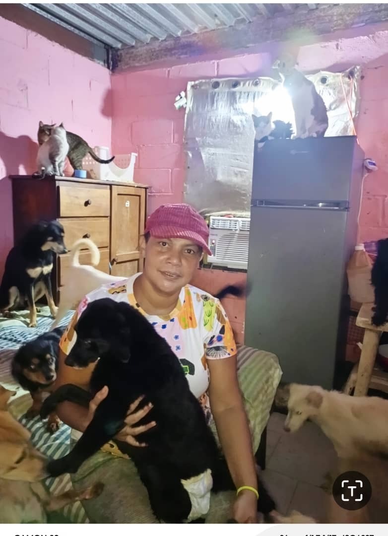Save Nayrobys's Sanctuary: Help 110 Rescued Pets campaign photo, 2 of 8