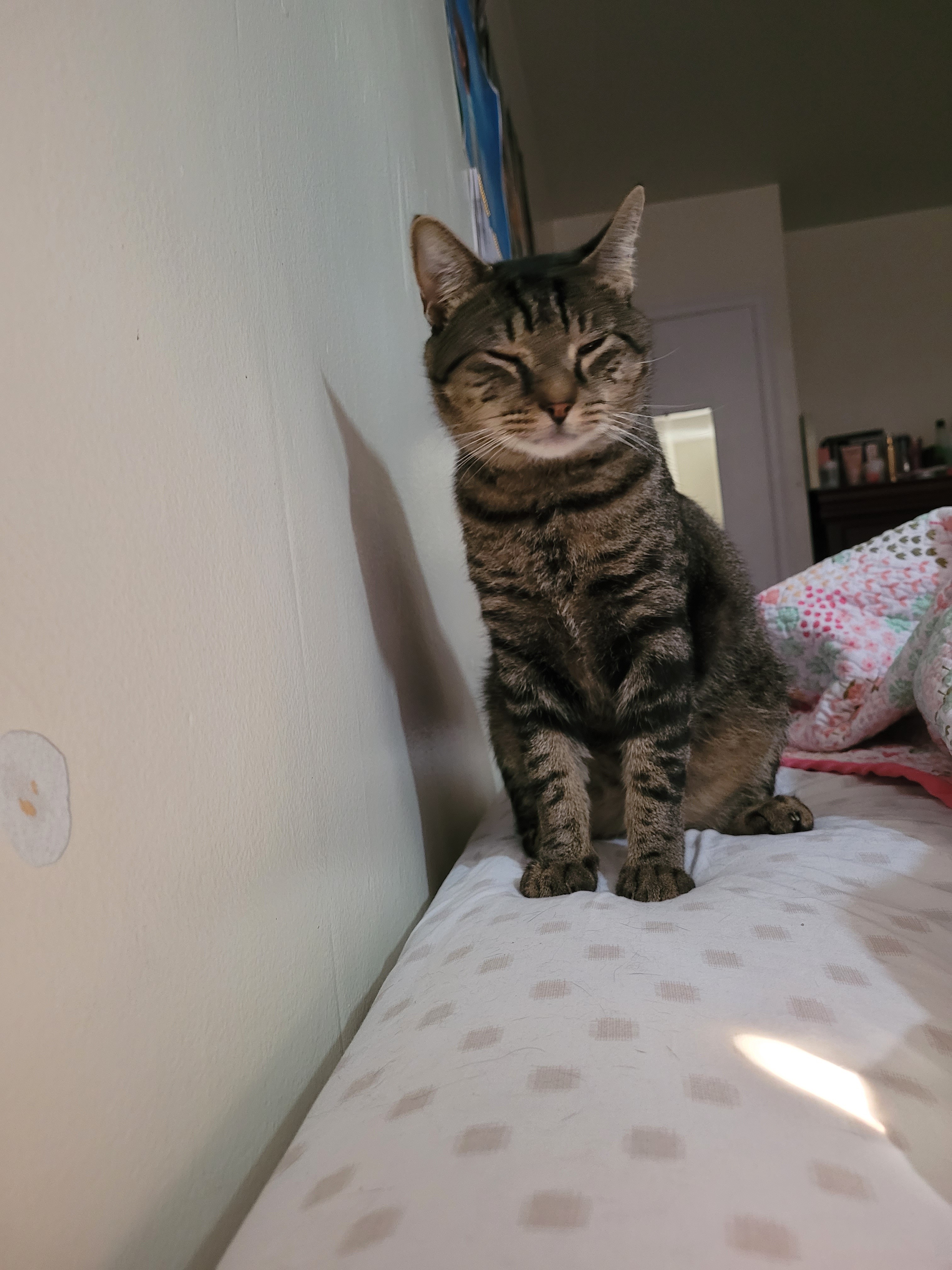 PeanutButter needs help with medical tests and analysis campaign photo, 2 of 7