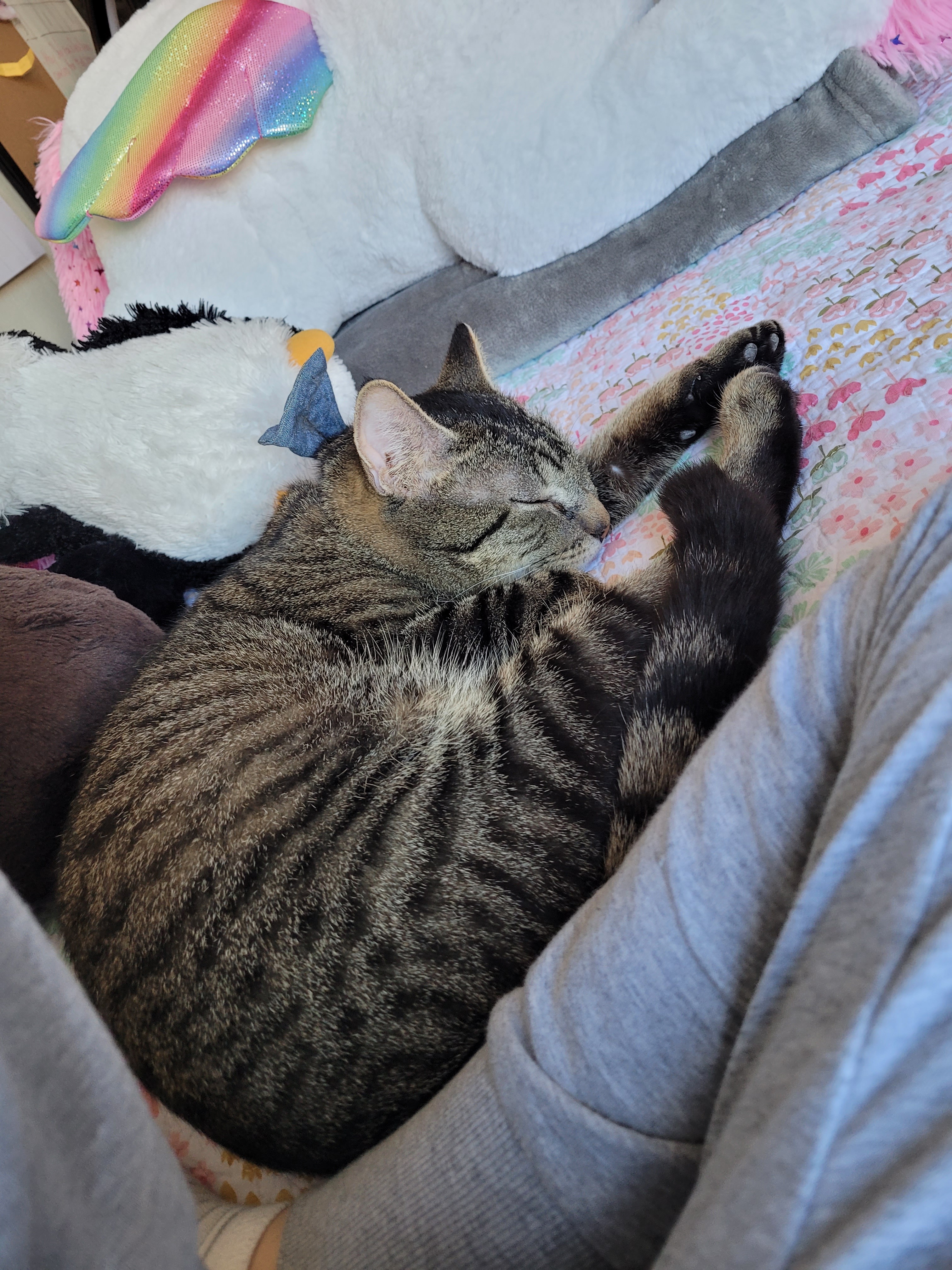 PeanutButter needs help with medical tests and analysis campaign photo, 4 of 7