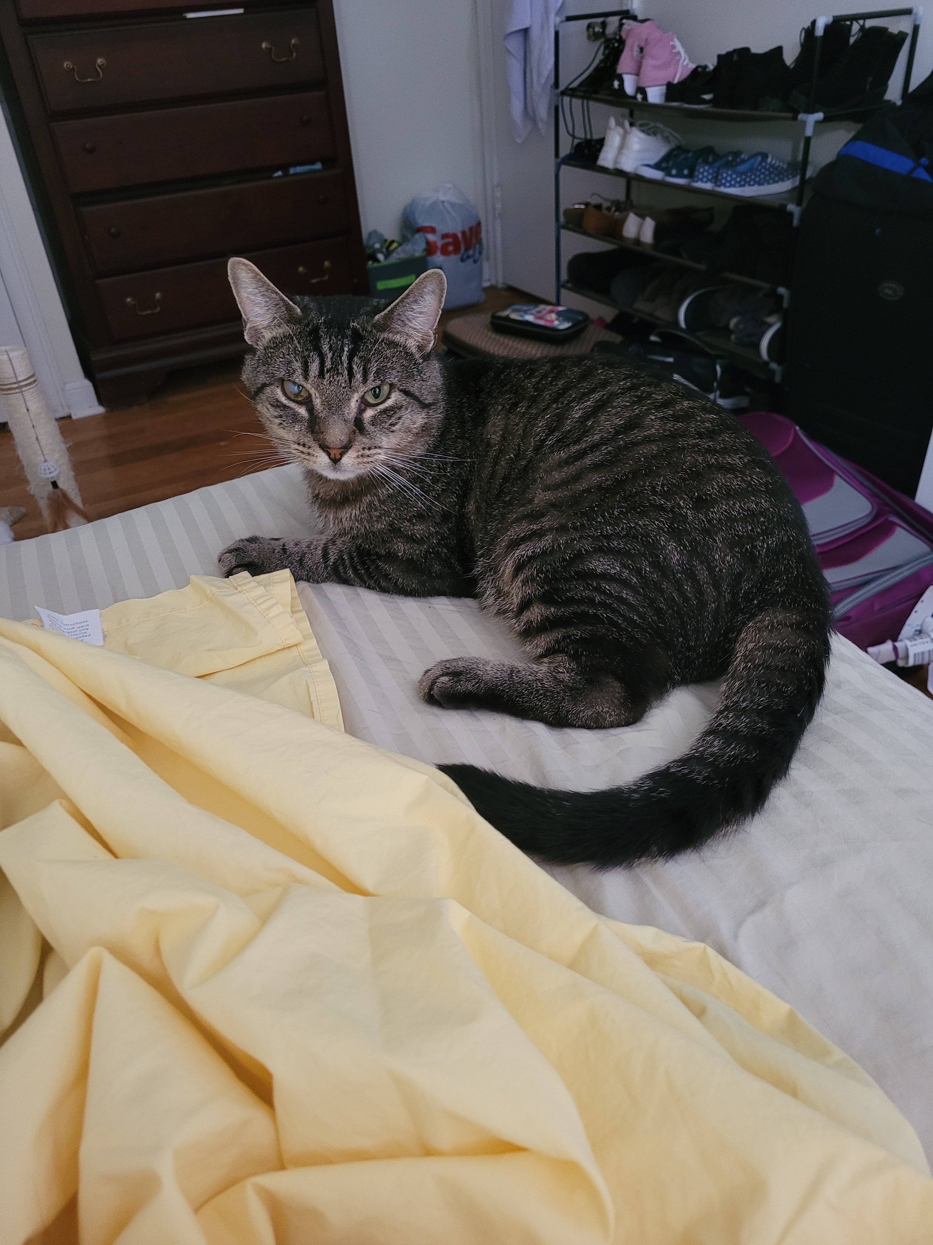 PeanutButter needs help with medical tests and analysis campaign photo, 5 of 7