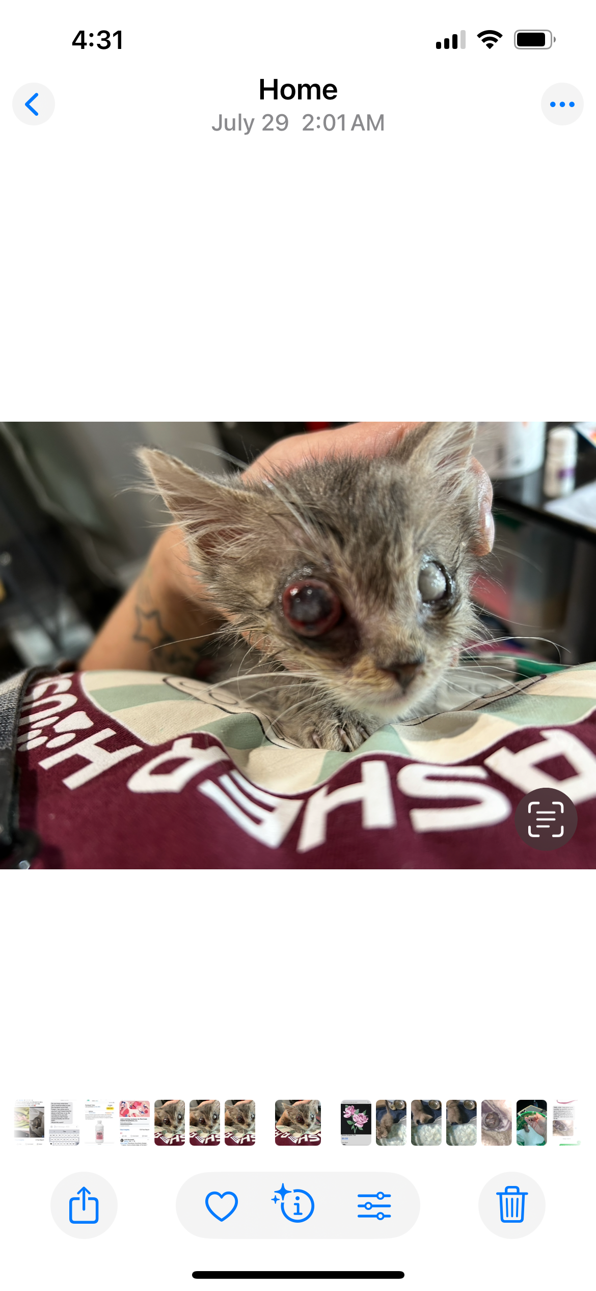Sqwinks Eye Removal surgery campaign photo, 4 of 5