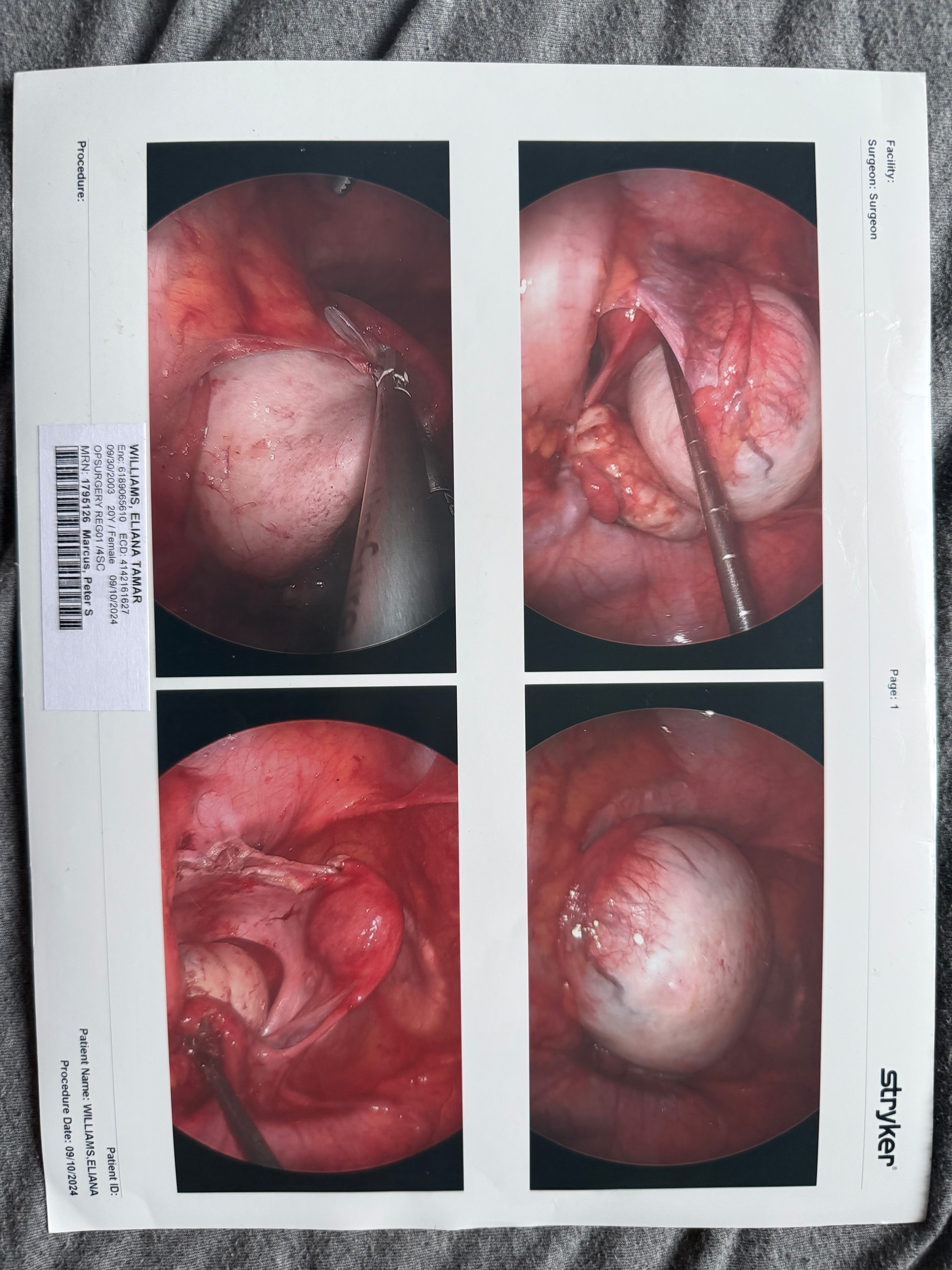 IVF journey campaign photo, 2 of 6