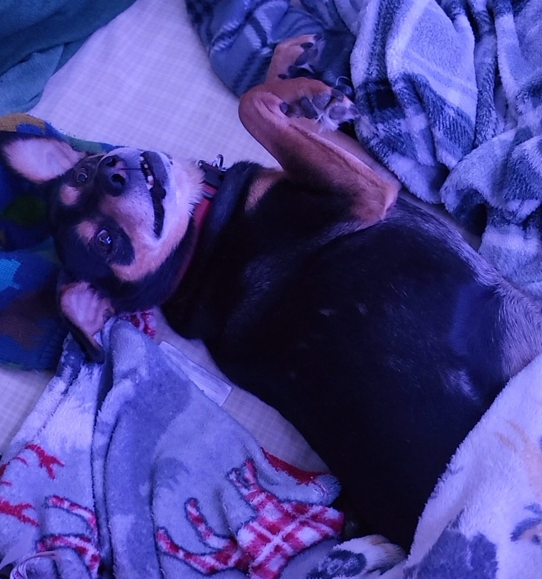 Help Jack Recieve Radiation Therapy campaign photo, 6 of 7